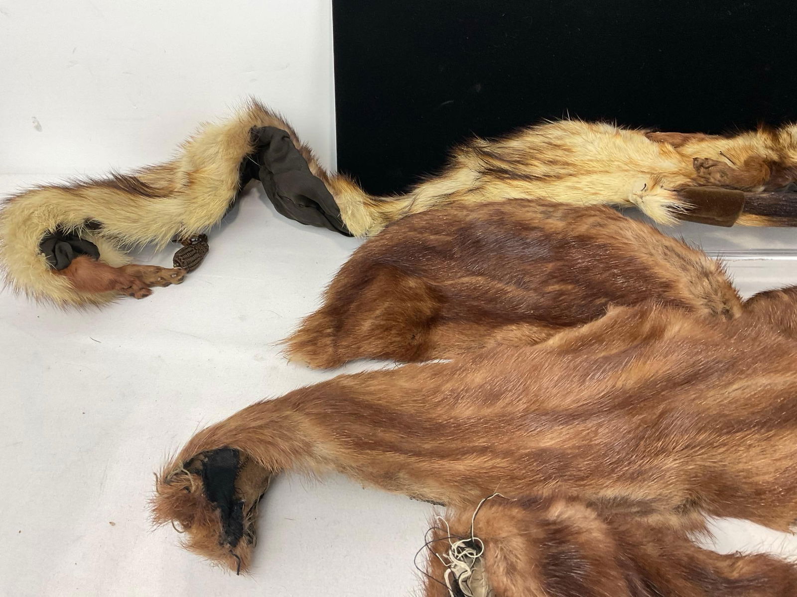 Pair of Furs, Mink Fur Stole & Mink Pelt Boa Scarf, 10h x 10w x 6d inches - 4