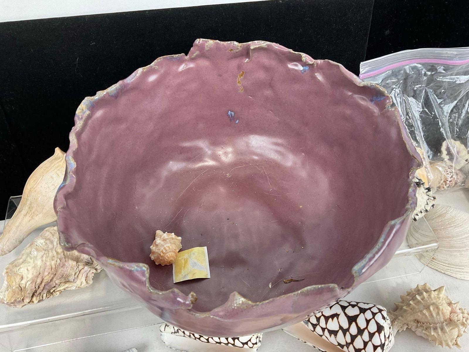 Handmade Abstract Bowl, Plum Purple in color, w/ Assortment of Shells, Conus Marmoreus & more - 3