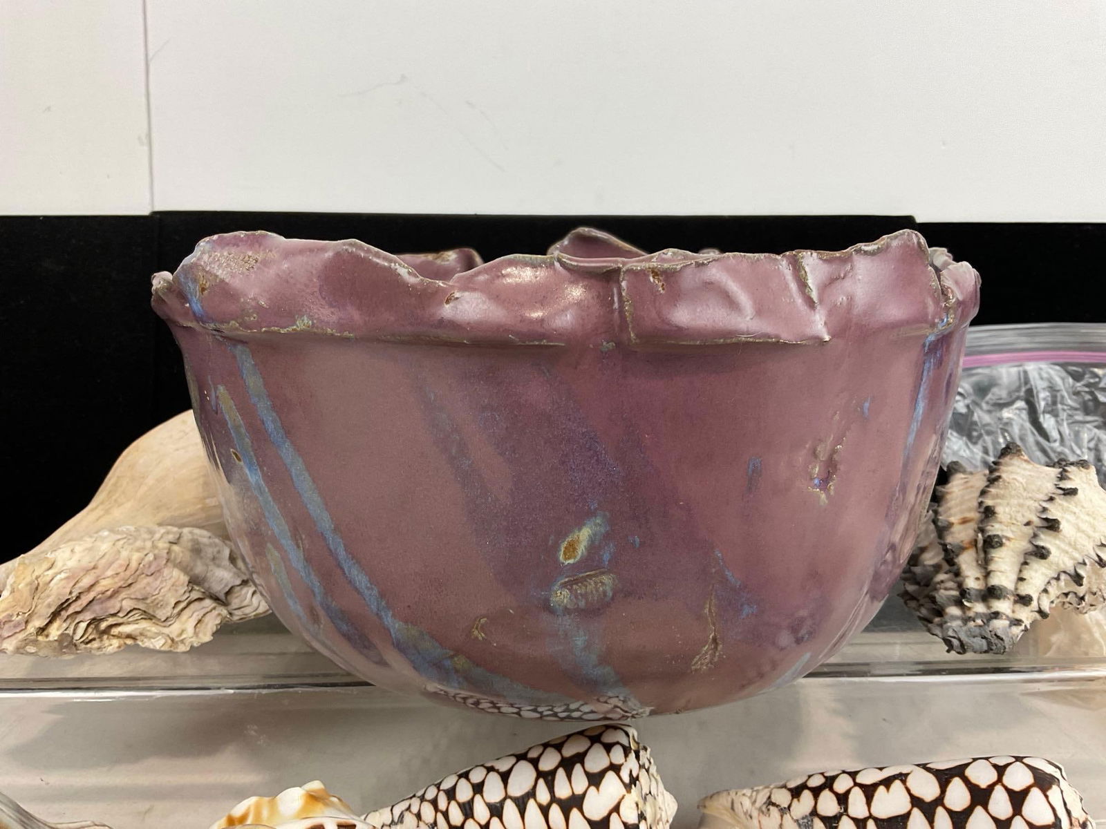 Handmade Abstract Bowl, Plum Purple in color, w/ Assortment of Shells, Conus Marmoreus & more - 4