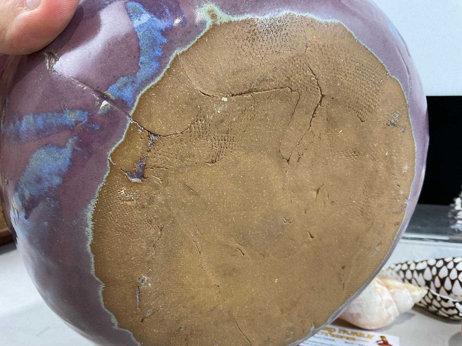 Handmade Abstract Bowl, Plum Purple in color, w/ Assortment of Shells, Conus Marmoreus & more - 5