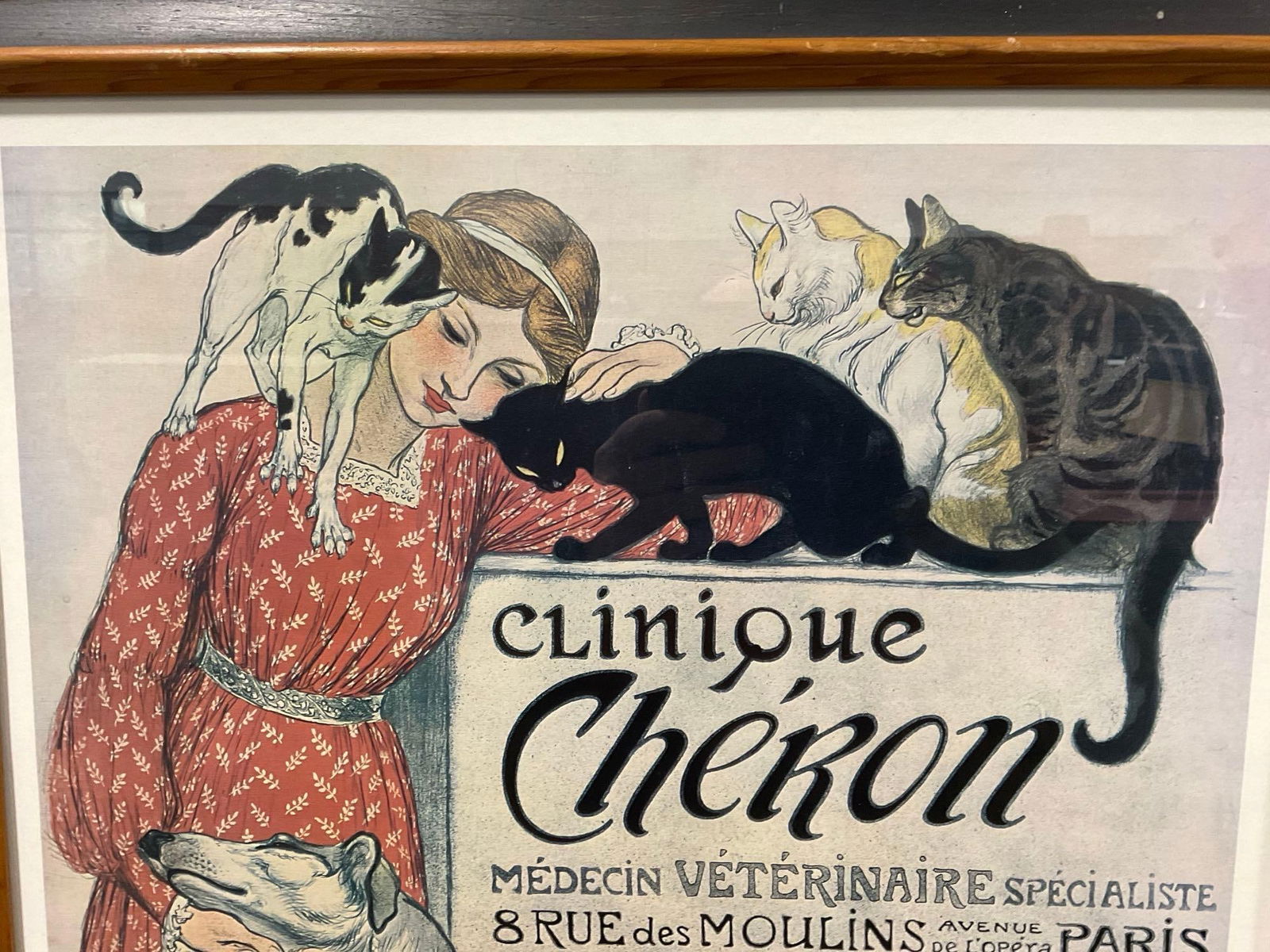 Vintage Framed 1991 Clinique Cheron Veterinaire Poster, 32h x 23w x 3d inches - 2