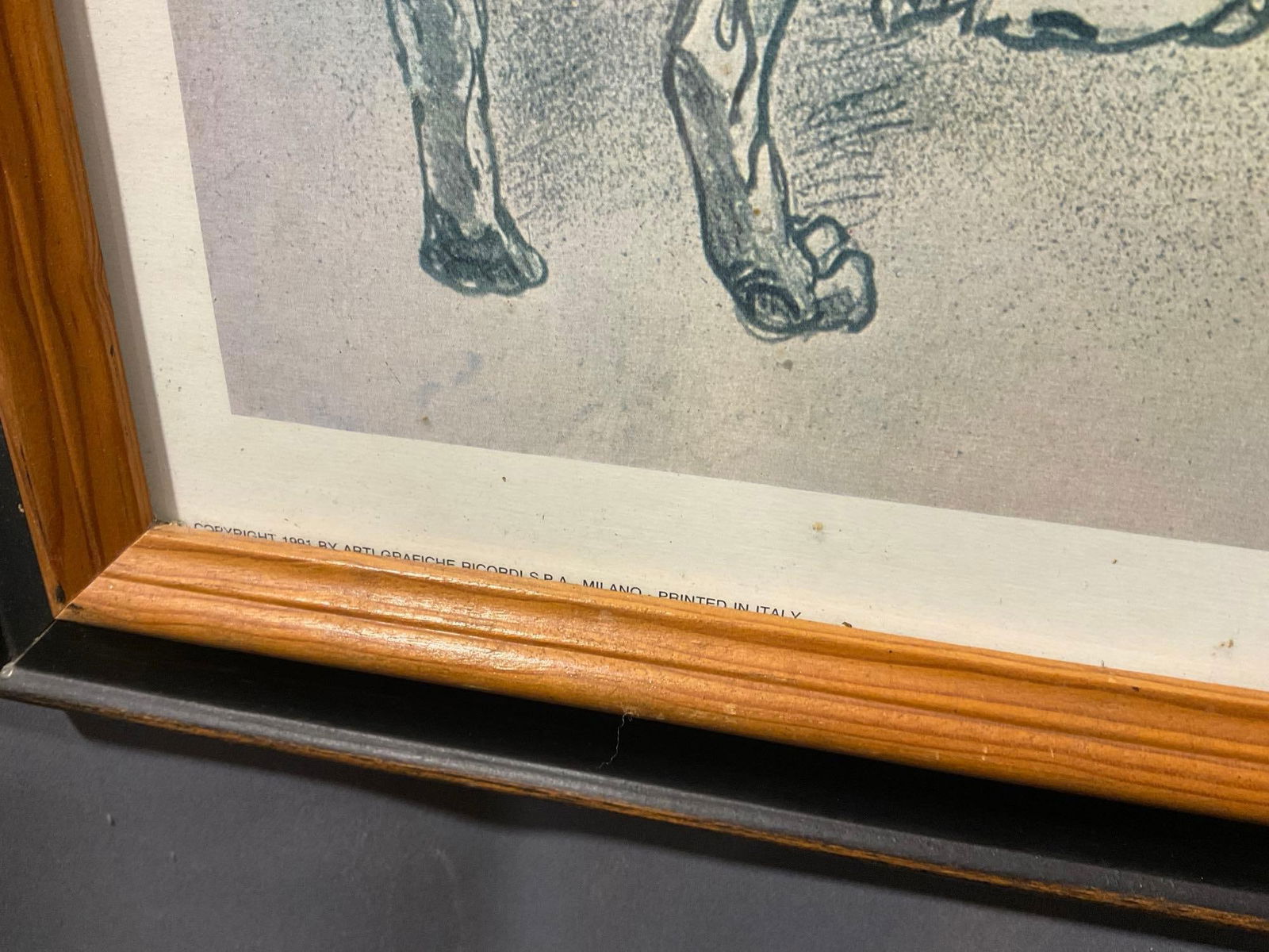 Vintage Framed 1991 Clinique Cheron Veterinaire Poster, 32h x 23w x 3d inches - 5