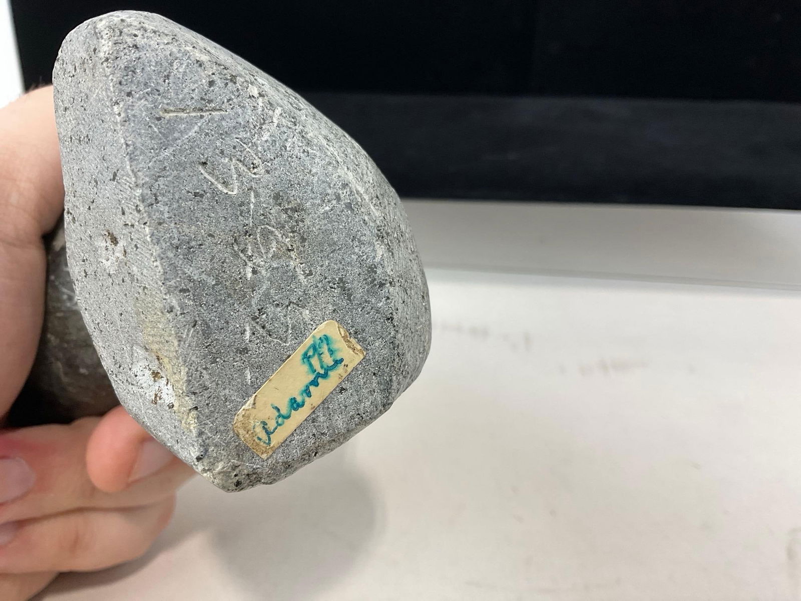 Native American Alaskan Inuit Handcarved Stone, Seal or Sea Lion piece, 6h x 4w x 4d inches - 5