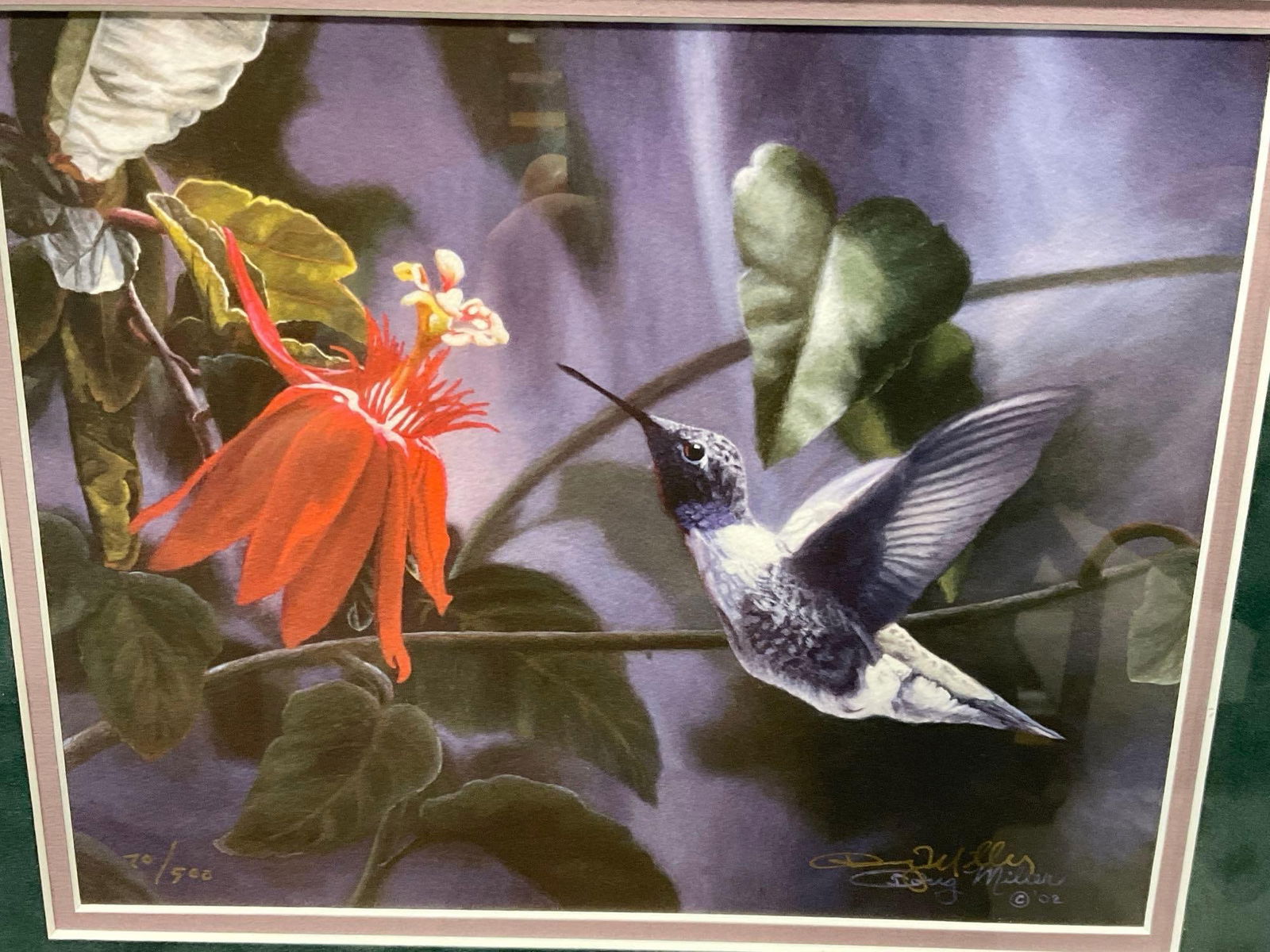 Framed Signed & #d 70/500 Litho Close Up Hummingbird by Doug Miller, 16h x 18w inches - 2
