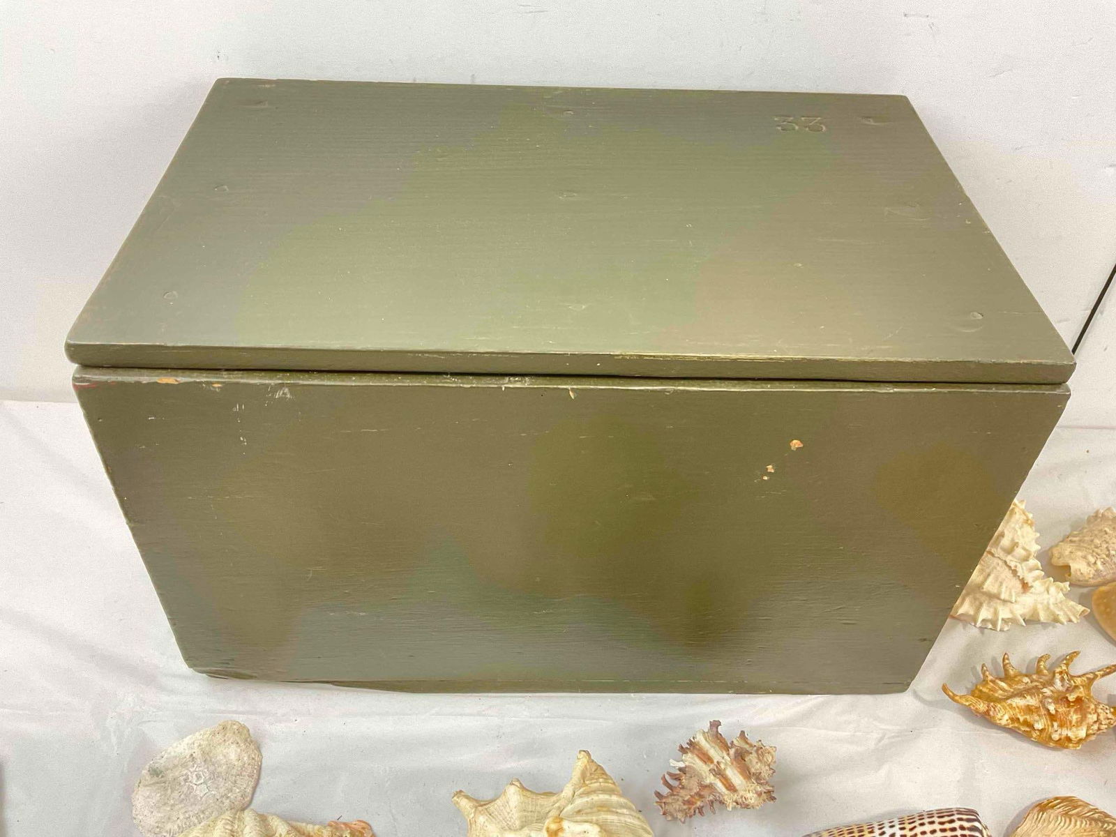 30+ pcs Vintage Seashell & Specimen Collection w/ Painted Wooden Box. Very Good Condition. - 6