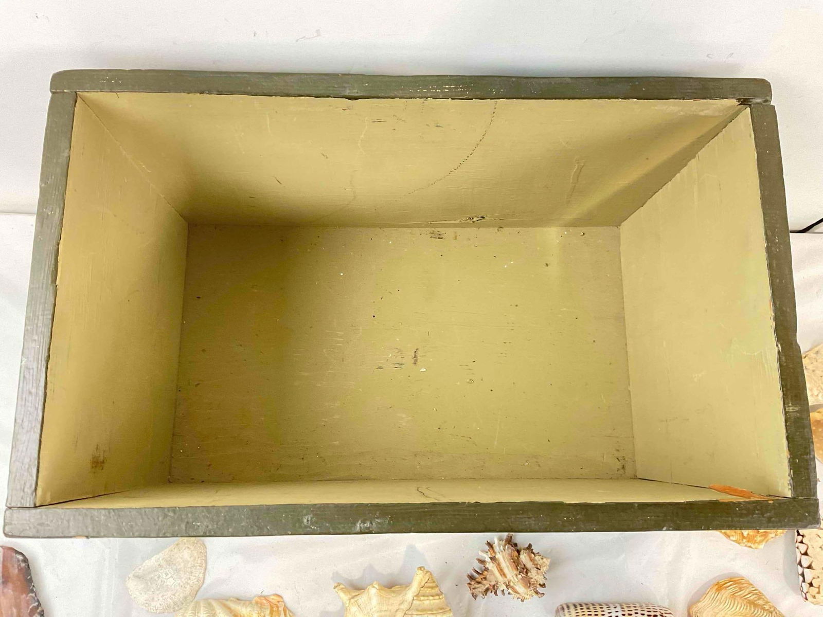 30+ pcs Vintage Seashell & Specimen Collection w/ Painted Wooden Box. Very Good Condition. - 7