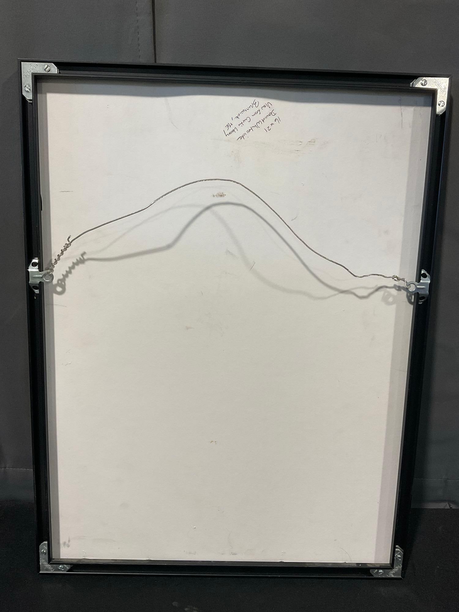 Framed Photo titled View from Curtis Library by David Whiteside, Brunswick, ME, 22h x 17w inches - 5