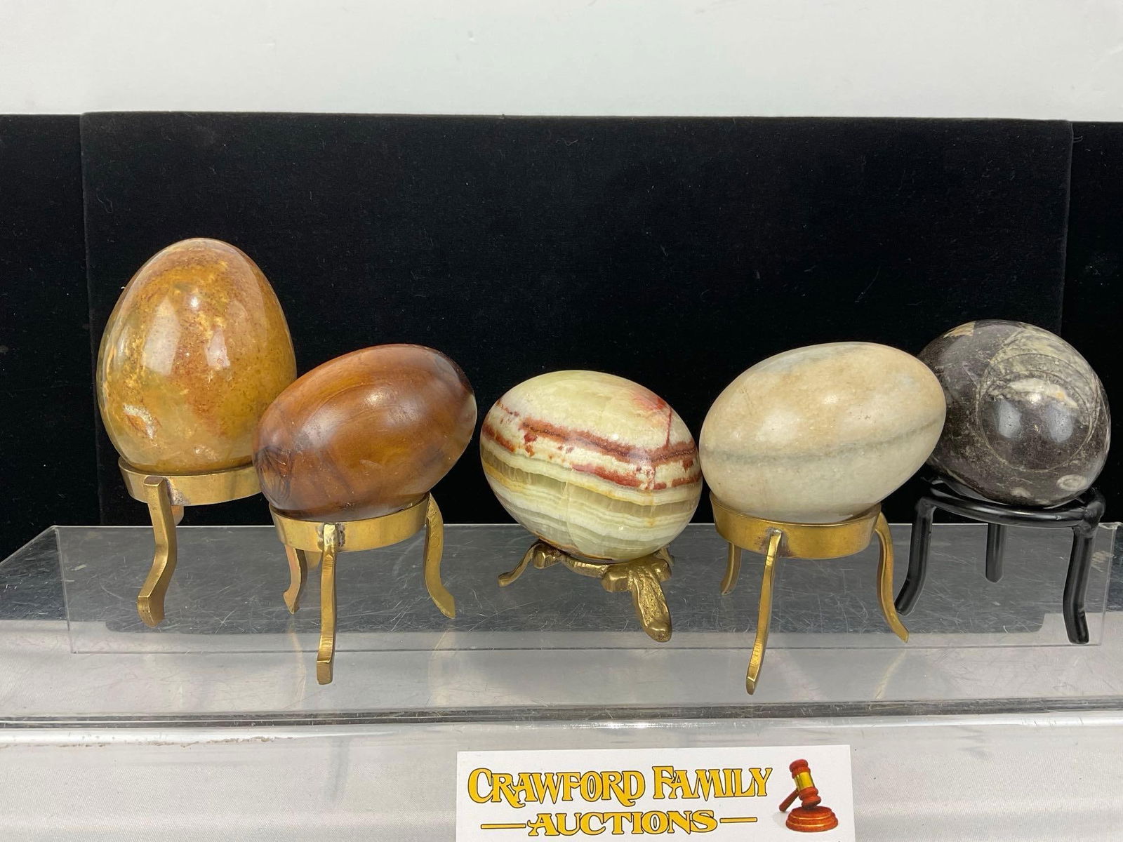 5 Polished Carved Egg Pieces, 3 Stone, 1 Wooden & 1 Orthoceras Fossil, w/ 5 Stands - 3