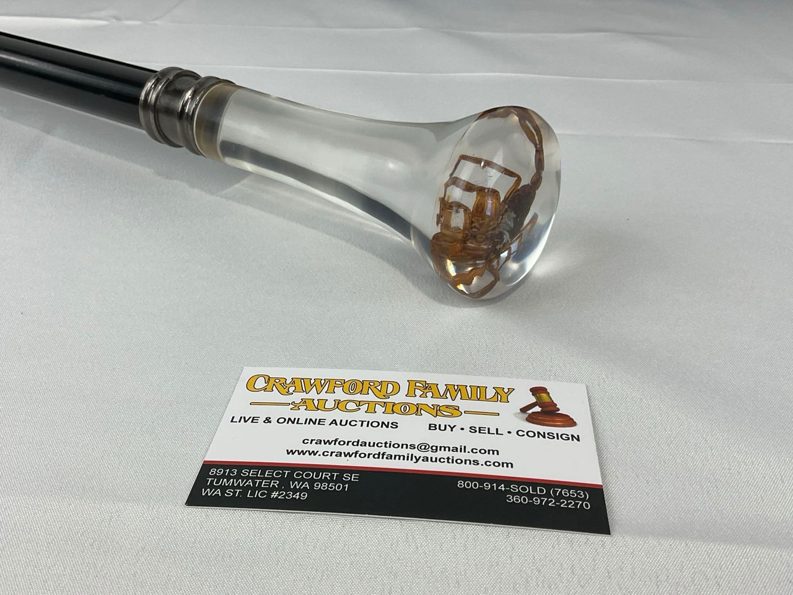 Unique Walking Stick, w/Acrylic Handle, Scorpion inside, 36h x 4w x 4d inches (1 of 5)