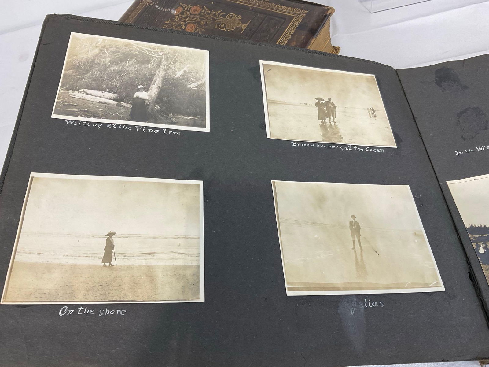 Pair of Antique Photo Albums, Portraits & 1900s Washington, Black & White - 12