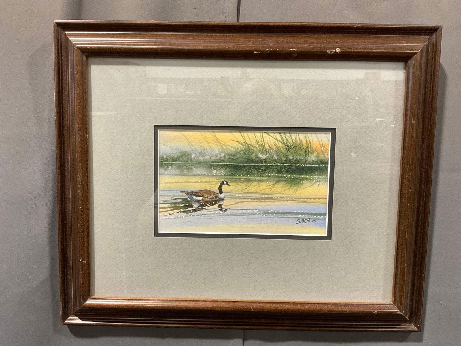 Framed Signed Watercolor Duck Swimming on the pond, by Wild life Artist Joe Garcia, 15 x 18 inches (1 of 5)