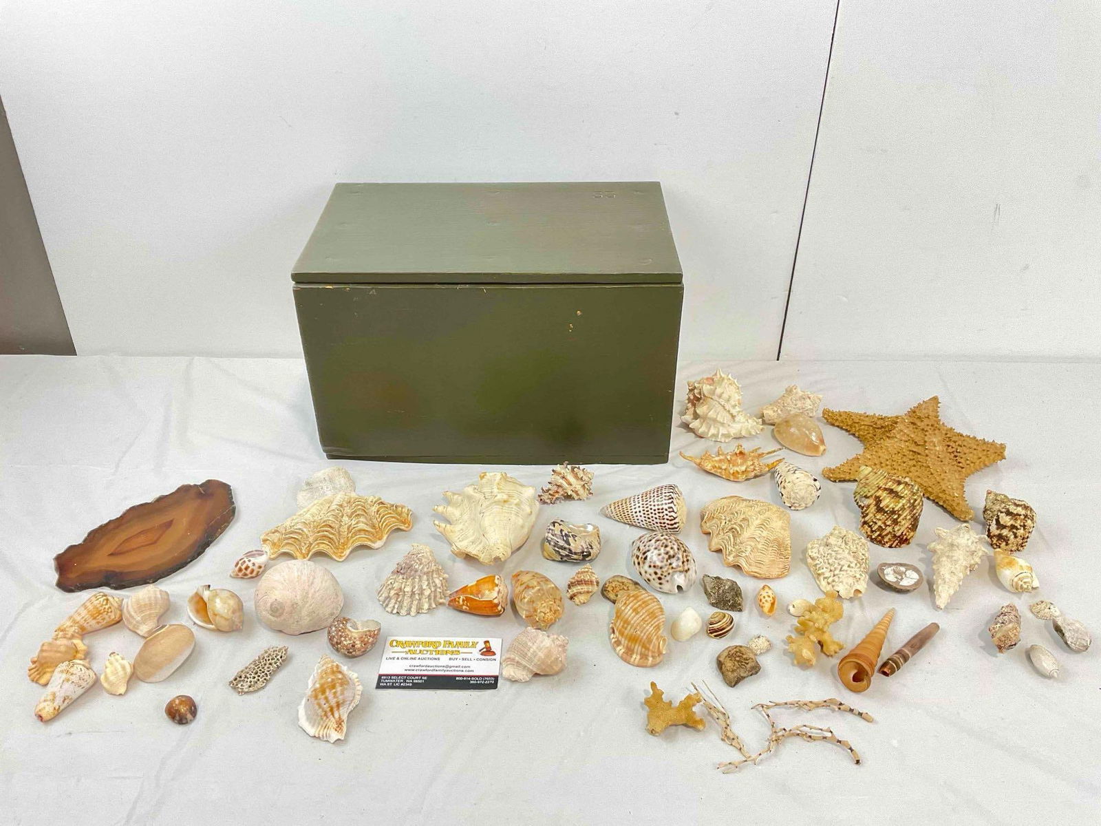 30+ pcs Vintage Seashell & Specimen Collection w/ Painted Wooden Box. Very Good Condition.: *No in-house shipping, fragile* 30+ pcs Vintage Seashell & Specimen Collection w/ Painted Wooden Box. Very Good Condition. Includes sea shells, an agate slice, coral specimens and more!