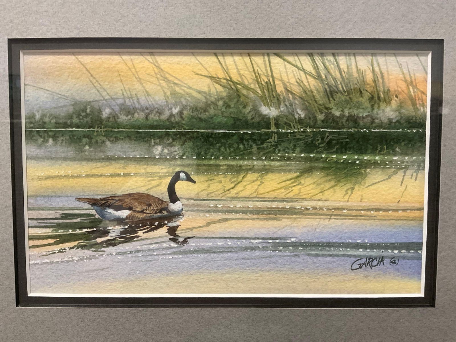 Framed Signed Watercolor Duck Swimming on the pond, by Wild life Artist Joe Garcia, 15 x 18 inches - 2