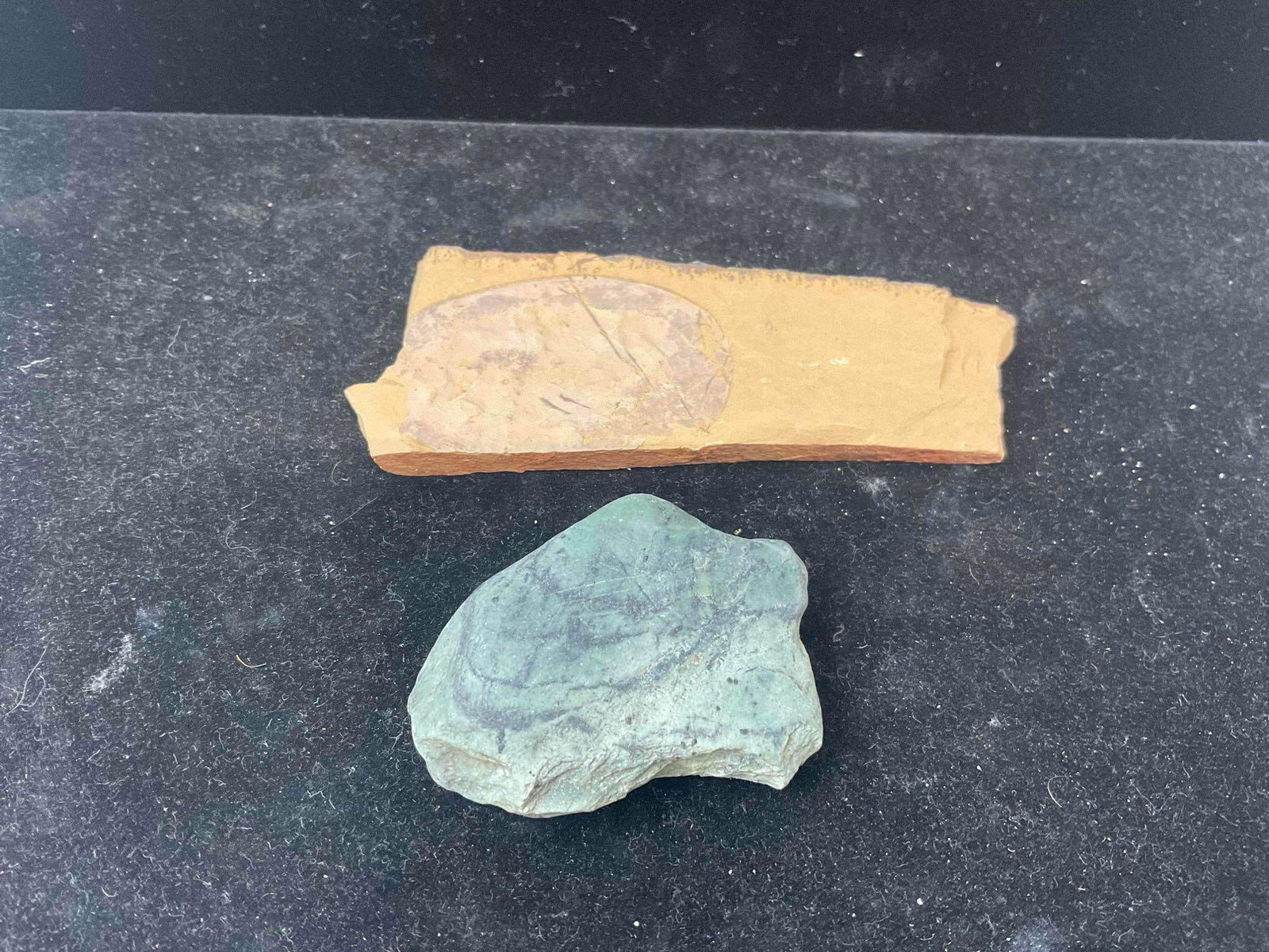 2 pcs Unidentified Fossil Specimens. Excellent Condition. See pics.: 2 pcs Unidentified Fossil Specimens. Excellent Condition. Measures 3" x 2" x 1" DM-5010 
