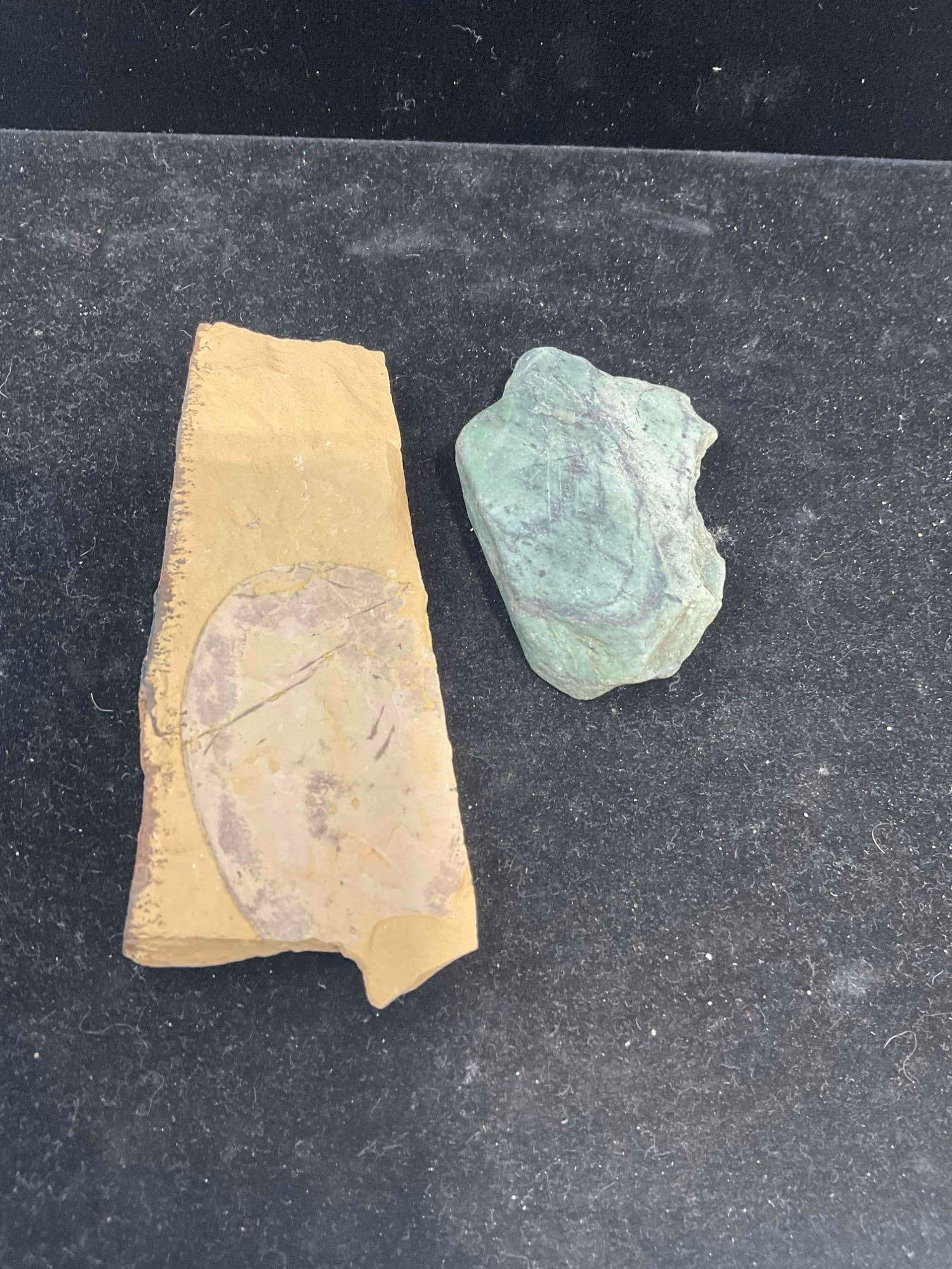 2 pcs Unidentified Fossil Specimens. Excellent Condition. See pics. - 4