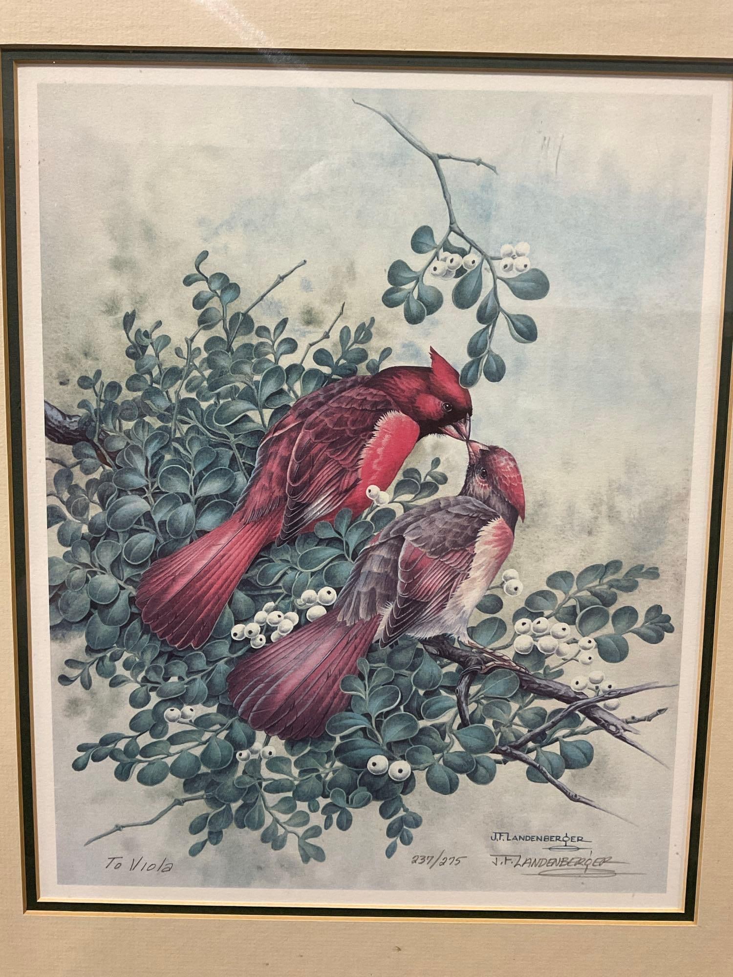 Framed Signed & #d 237/275 Litho by J.F.Landenberger, 23h x 20w x 3d inches, Cardinals - 2