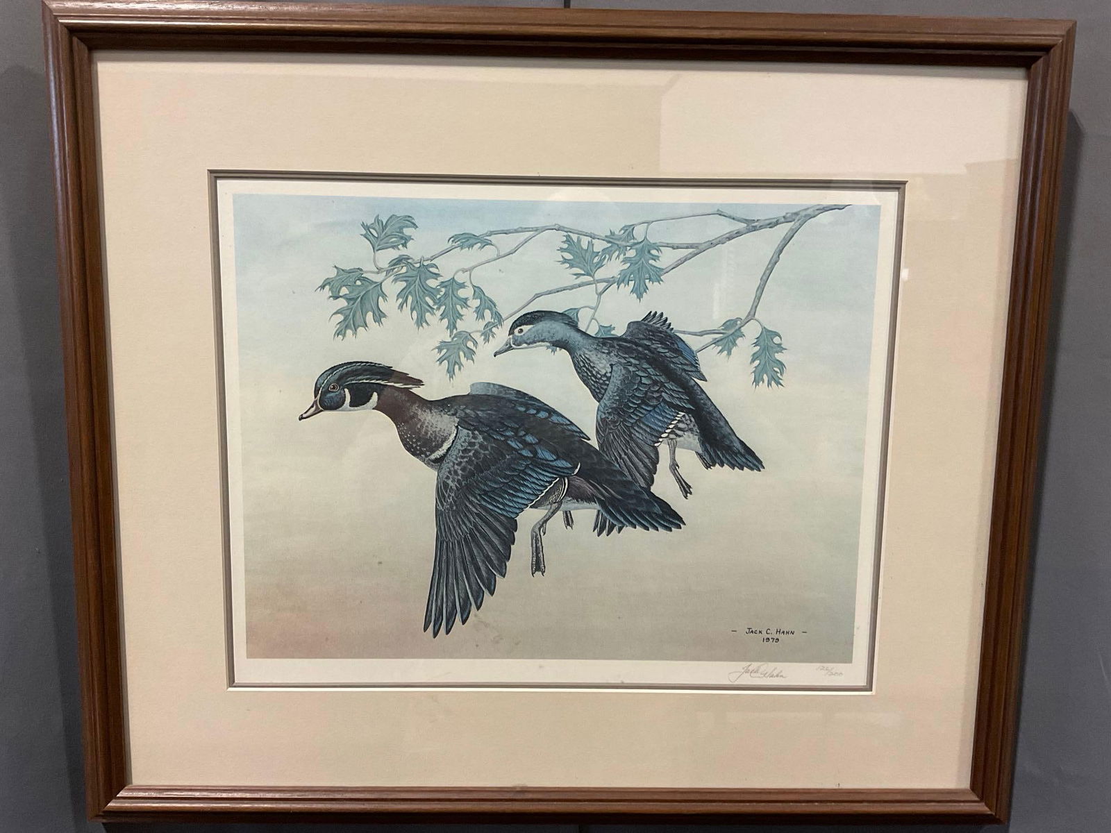 Framed Signed & #d 126/200 Litho by Jack C. Hahn 1979, 22h x 25w x 2d inches 2 Wood Ducks: Appears to be in good shape. The piece measures approx 22h x 25w x 2d inches. See pics. E-5630 