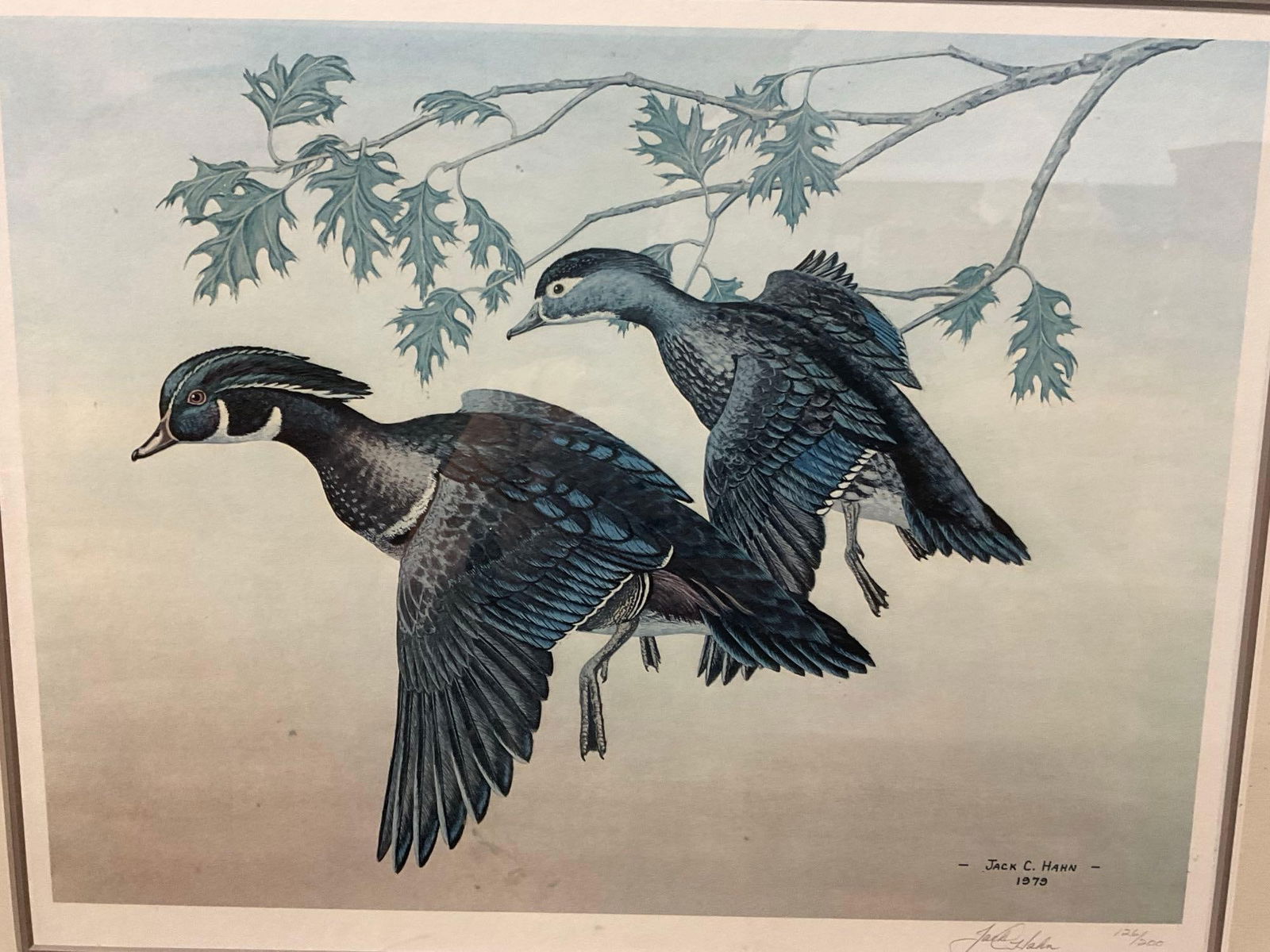 Framed Signed & #d 126/200 Litho by Jack C. Hahn 1979, 22h x 25w x 2d inches 2 Wood Ducks - 2