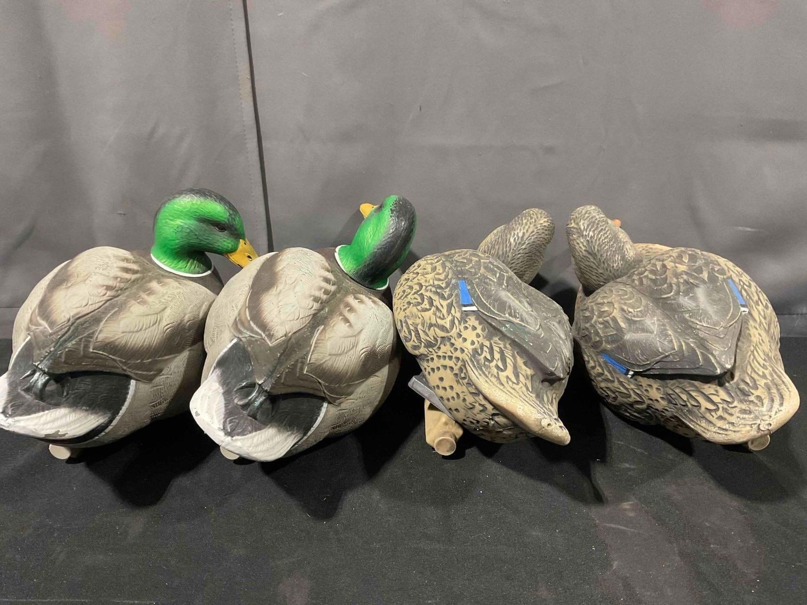 4 pcs Cabela's Real Image Plastic Mallard Duck Decoys, Hen & Drake. Very Good Condition. - 7