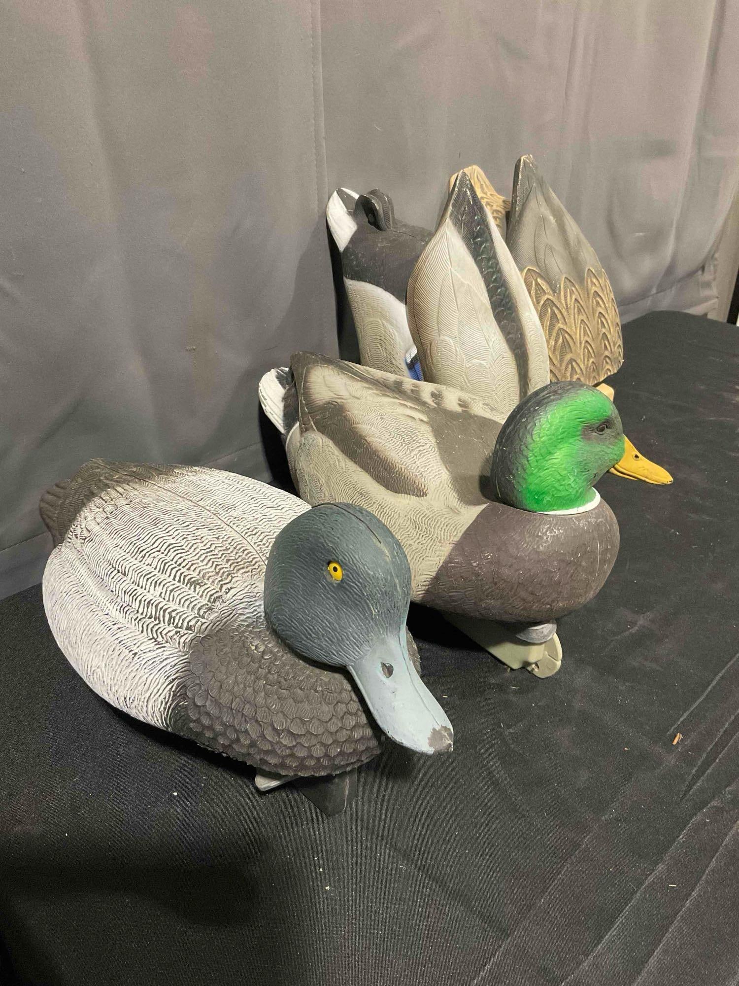 4 pcs Plastic Duck Decoys, incl. Cabela's & Greenhead Gear. Very Good Condition. See pics. - 3