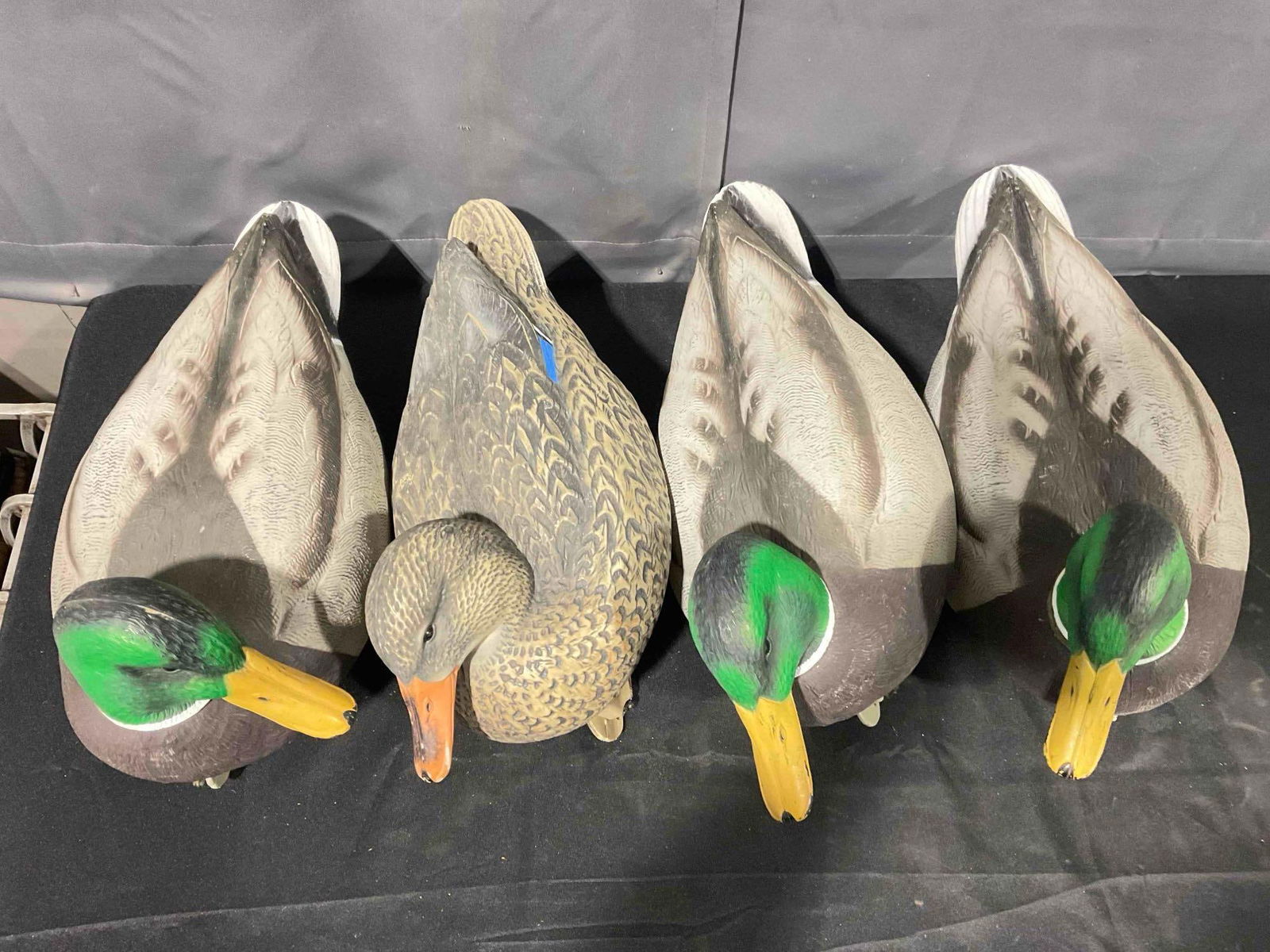 4 pcs Cabela's Real Image Plastic Mallard Duck Decoys, Hen & Drakes. Very Good Condition. - 4