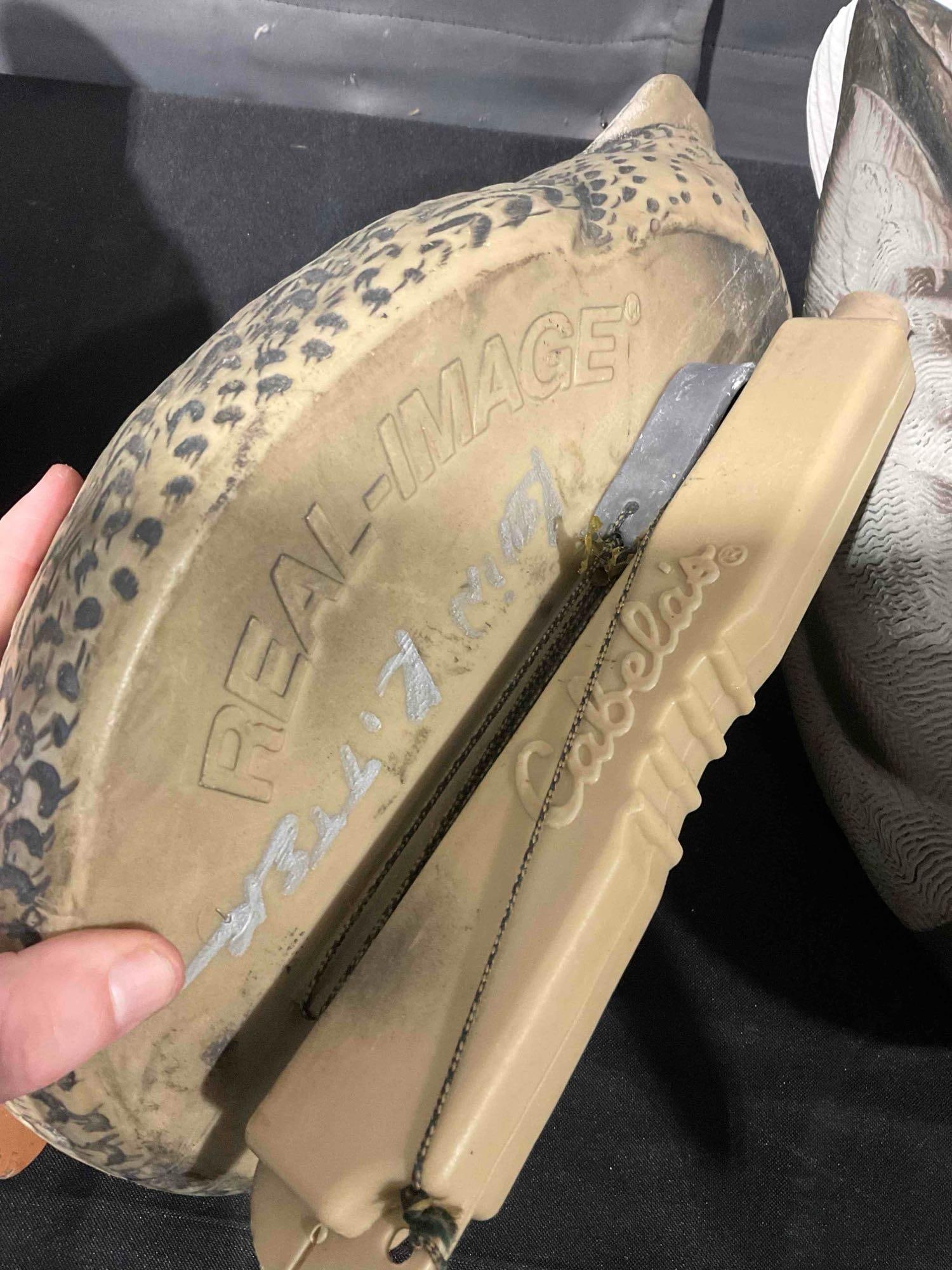 4 pcs Cabela's Real Image Plastic Mallard Duck Decoys, Hen & Drakes. Very Good Condition. - 6