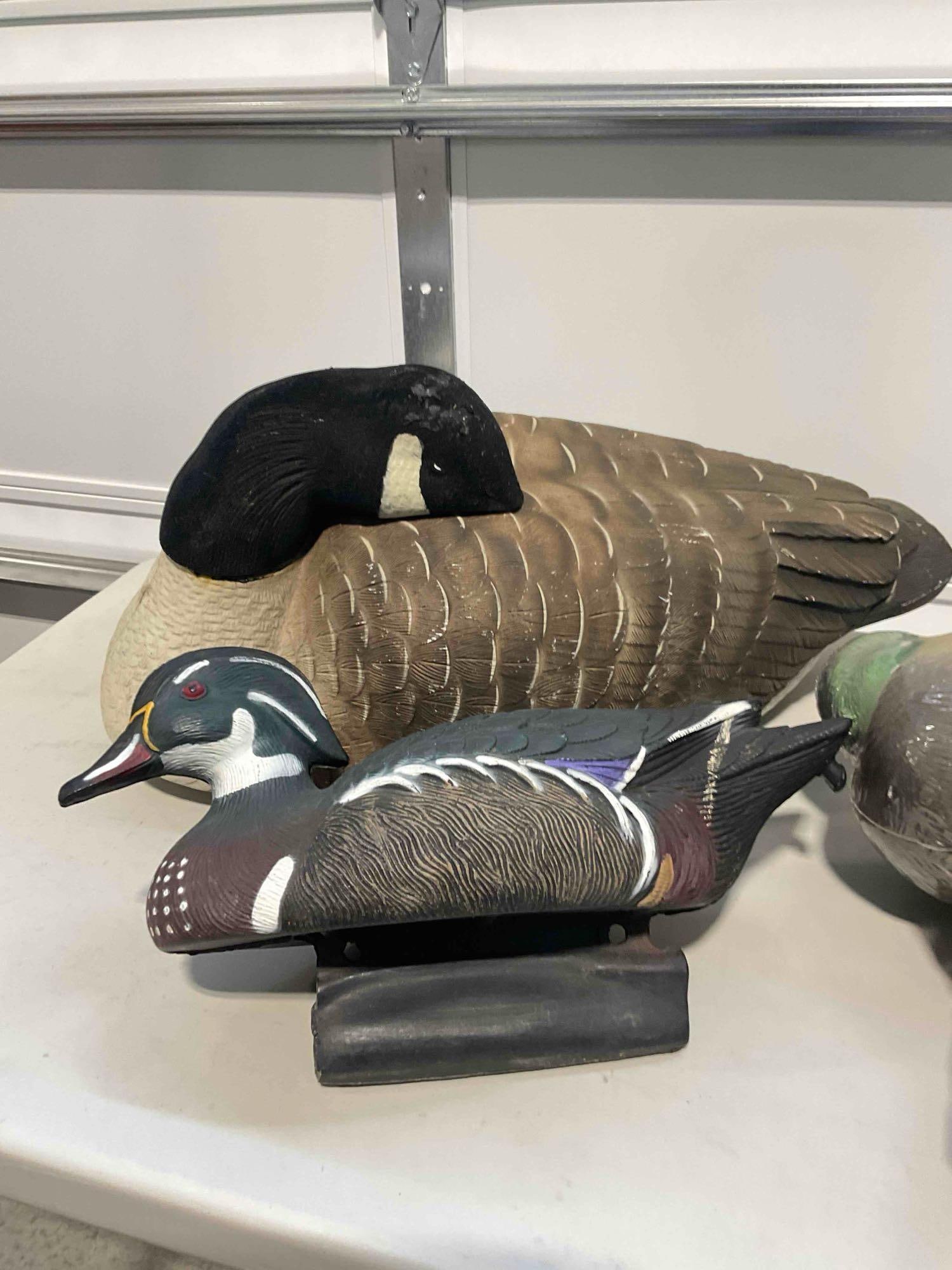 Collection of Decoys 1x Goose 3x Ducks. Includes Greenhead Gear and Flambeau Brands - 2
