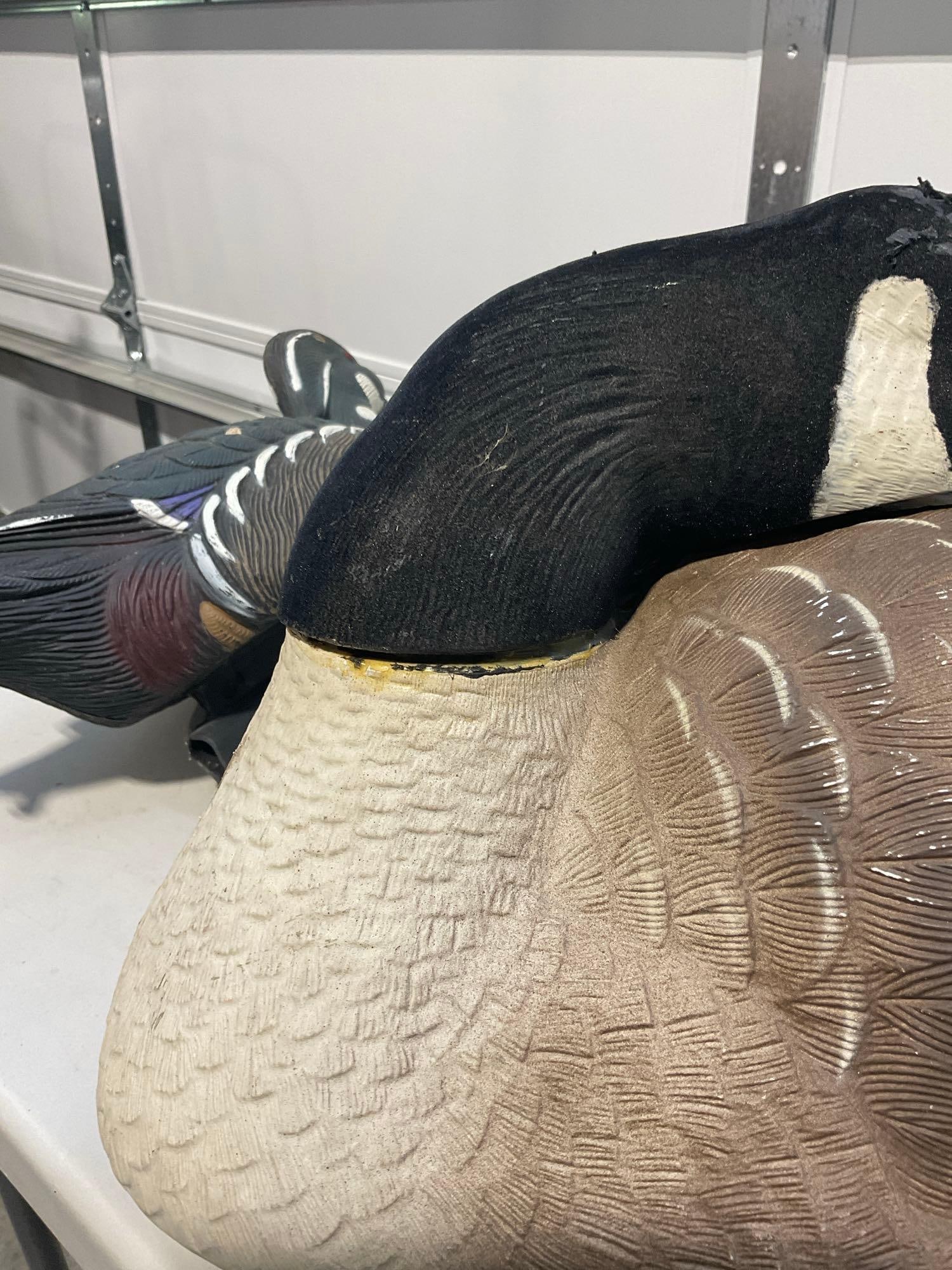 Collection of Decoys 1x Goose 3x Ducks. Includes Greenhead Gear and Flambeau Brands - 6