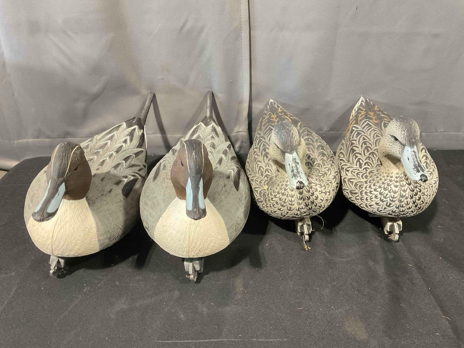4 pcs Greenhead Gear Life-size Plastic Pintail Duck Decoys, Hens & Drakes. Very Good Condition. (1 of 7)