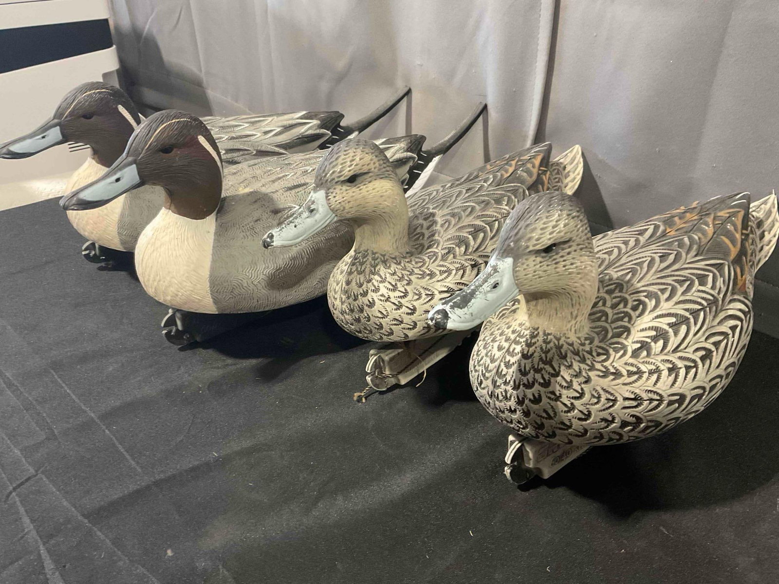 4 pcs Greenhead Gear Life-size Plastic Pintail Duck Decoys, Hens & Drakes. Very Good Condition. - 3