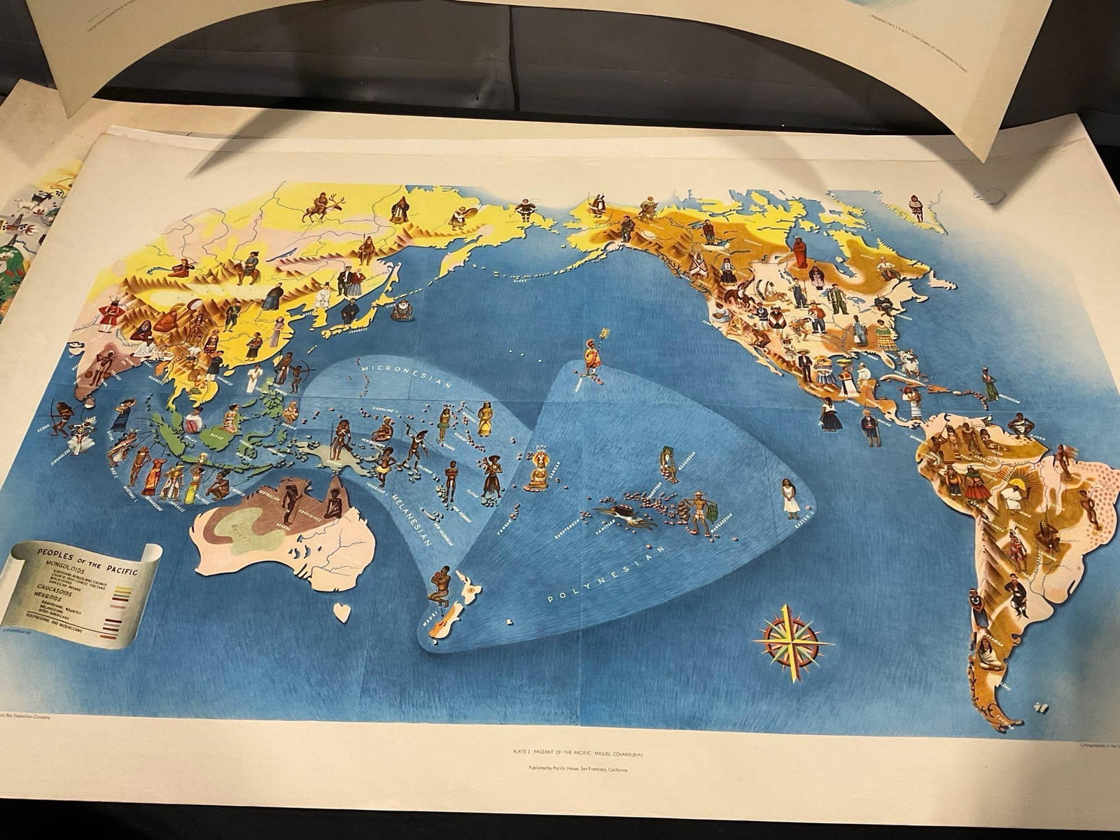 4 Plate Lithos, Pageant of the Pacific: Miguel Covarrubias, Fauna & Flora, Economy, Art Forms, & - 2