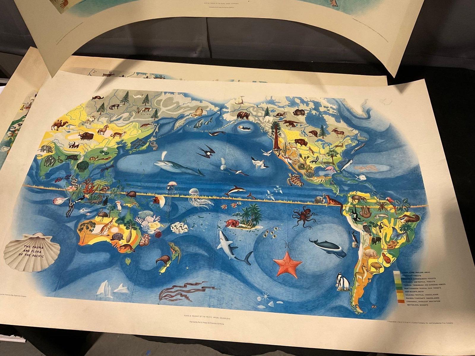 4 Plate Lithos, Pageant of the Pacific: Miguel Covarrubias, Fauna & Flora, Economy, Art Forms, & - 6