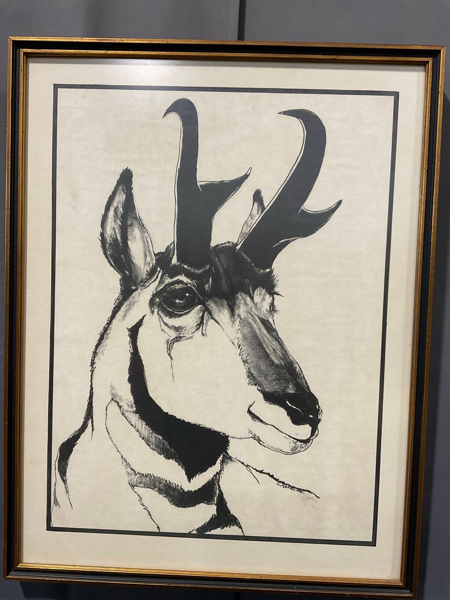 Framed Illustration Antelope Drawing, by C. Karvel 1992, 29h x 23w inches: Appears to be in good shape. The piece measures approx 29h x 23w x 4d inches. See pics. E-5360