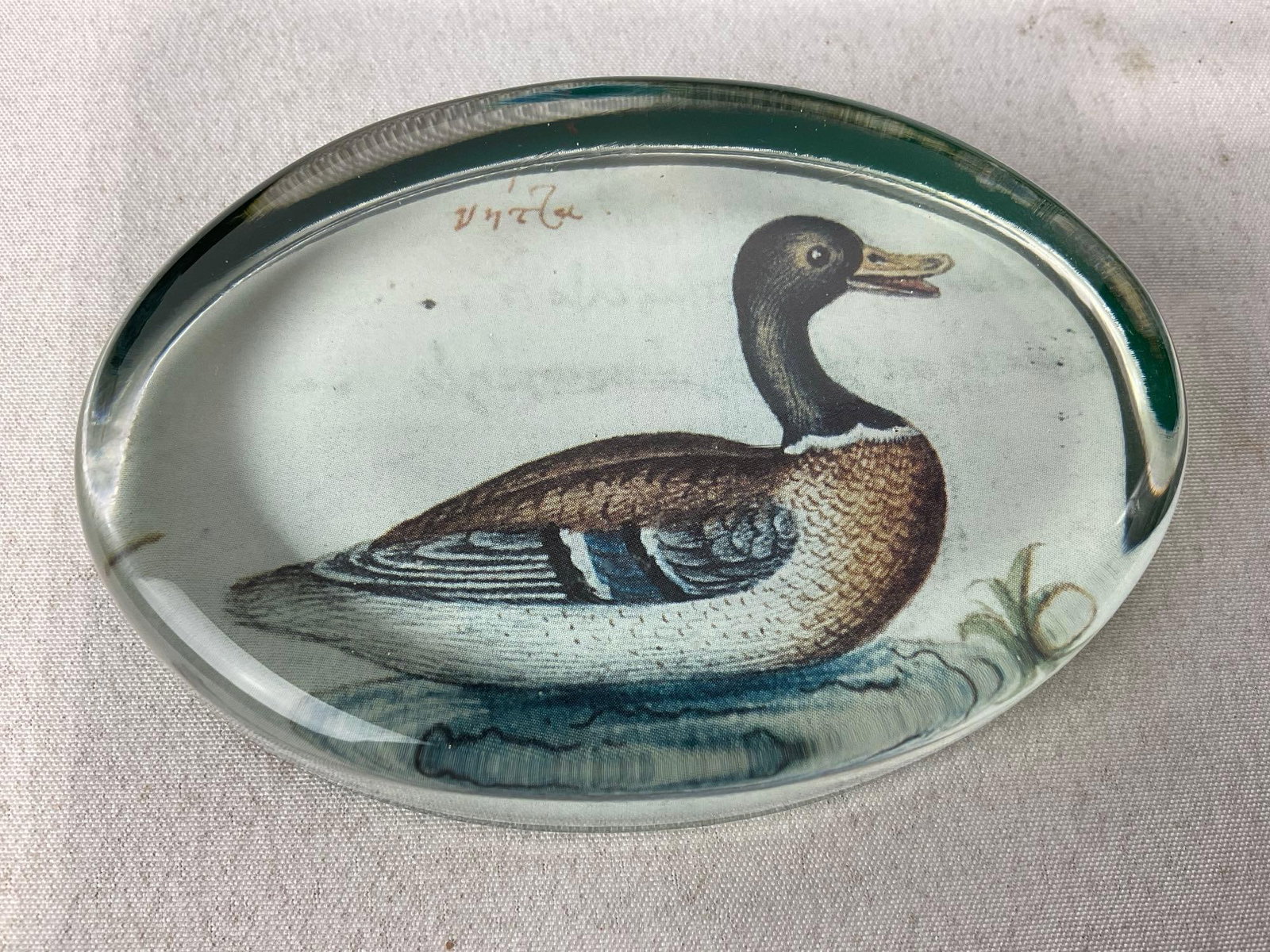 North Coast Trading Scrimshaw style Marble Etching Jewelry Box & Past Times Duck Paperweight - 2