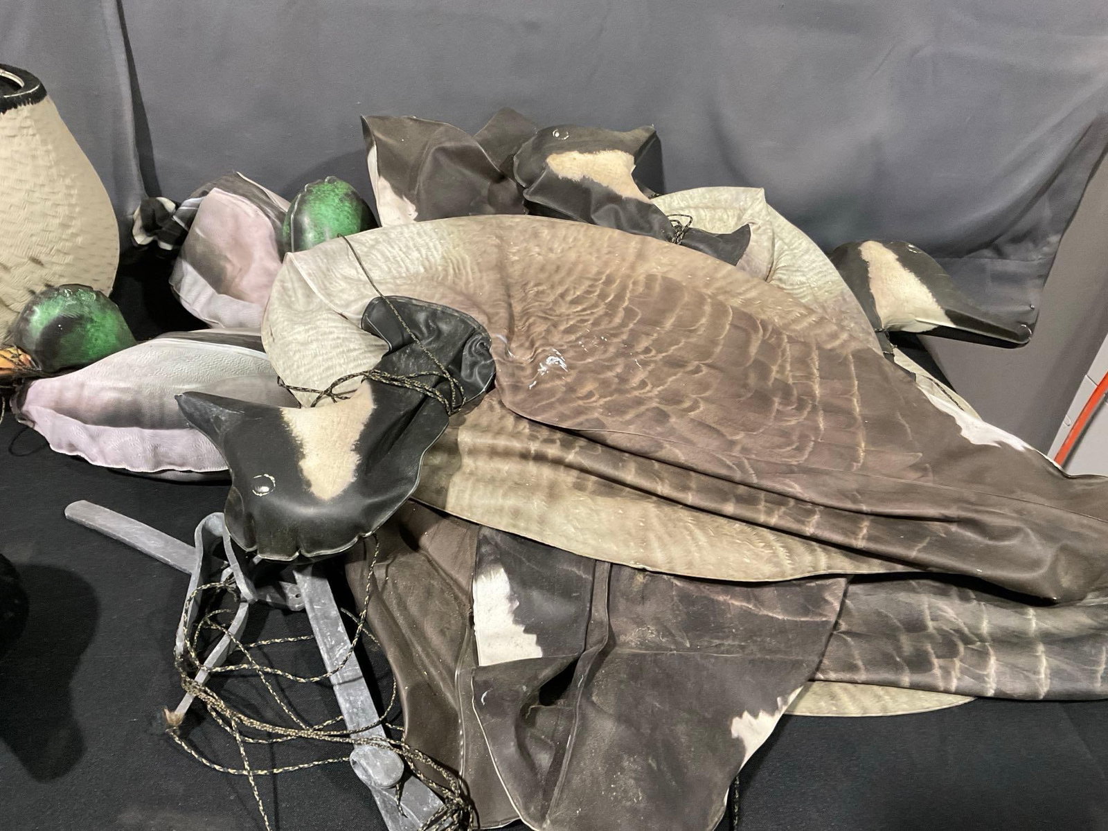 Box of Ducks Unlimited Greenhead Canada Goose Shell Decoys, Inflatable Duck Decoys, & more - 5