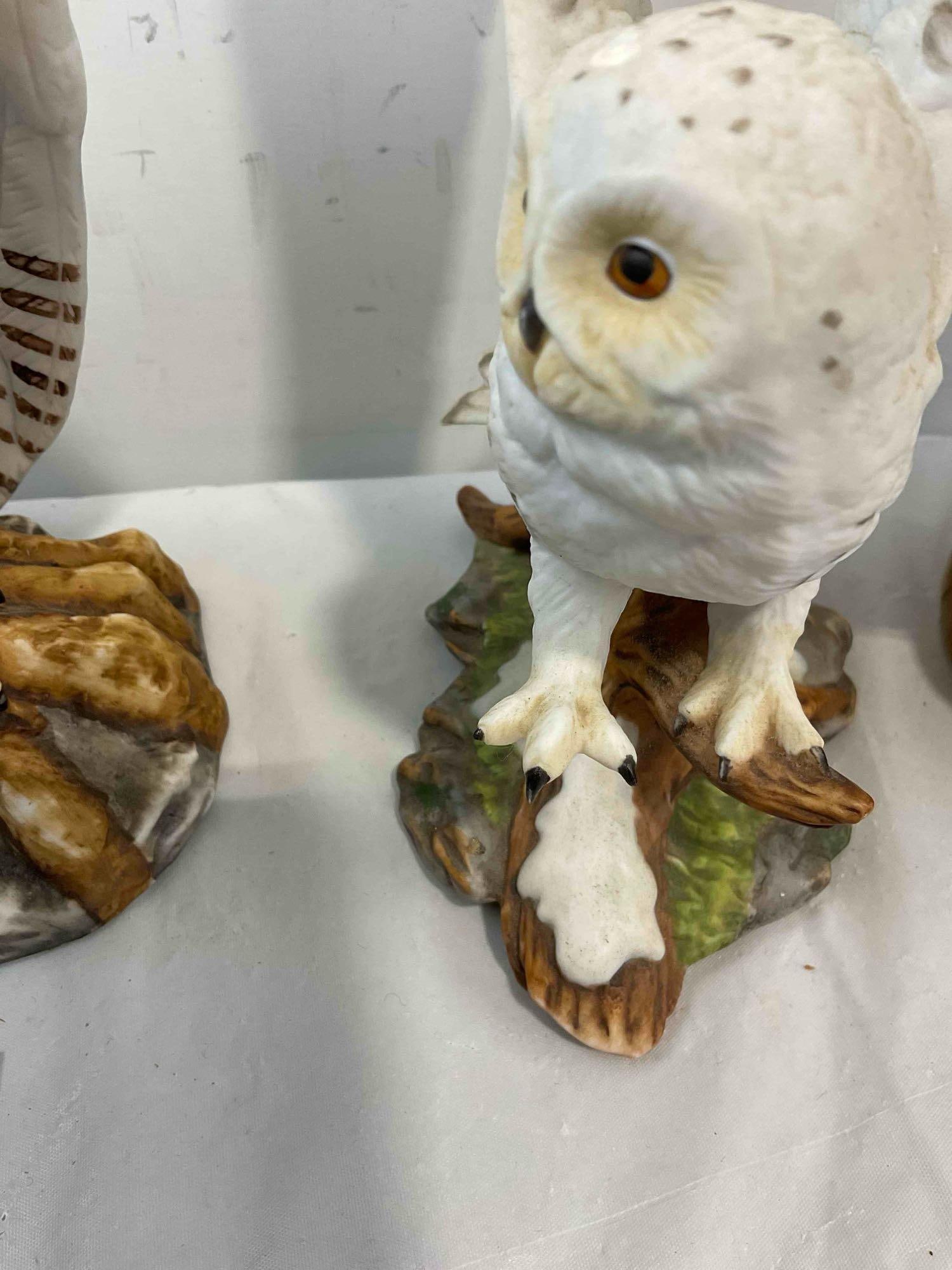 5 pcs Vintage Ceramic Owl Figurines, incl. 1x Music Box, 1x Enesco, 1x UTC Japan & More! - 4