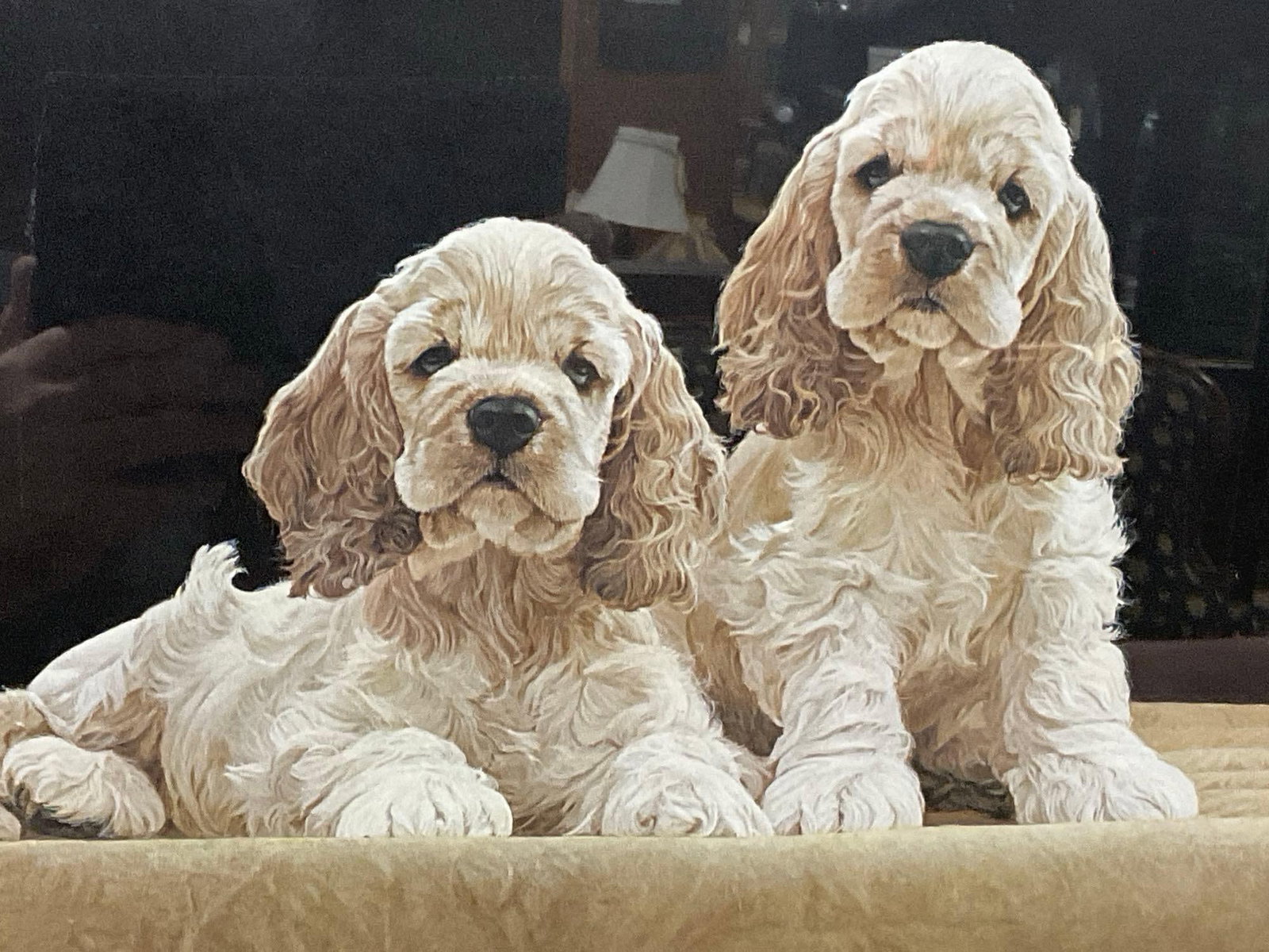 Framed Litho Signed & #d 341/1000 titled Cocker Spaniel Puppies by John Weiss, 18x24 inches: Appears to be in good shape. The piece measures approx 18h x 24w x 3d inches. See pics. E-5610