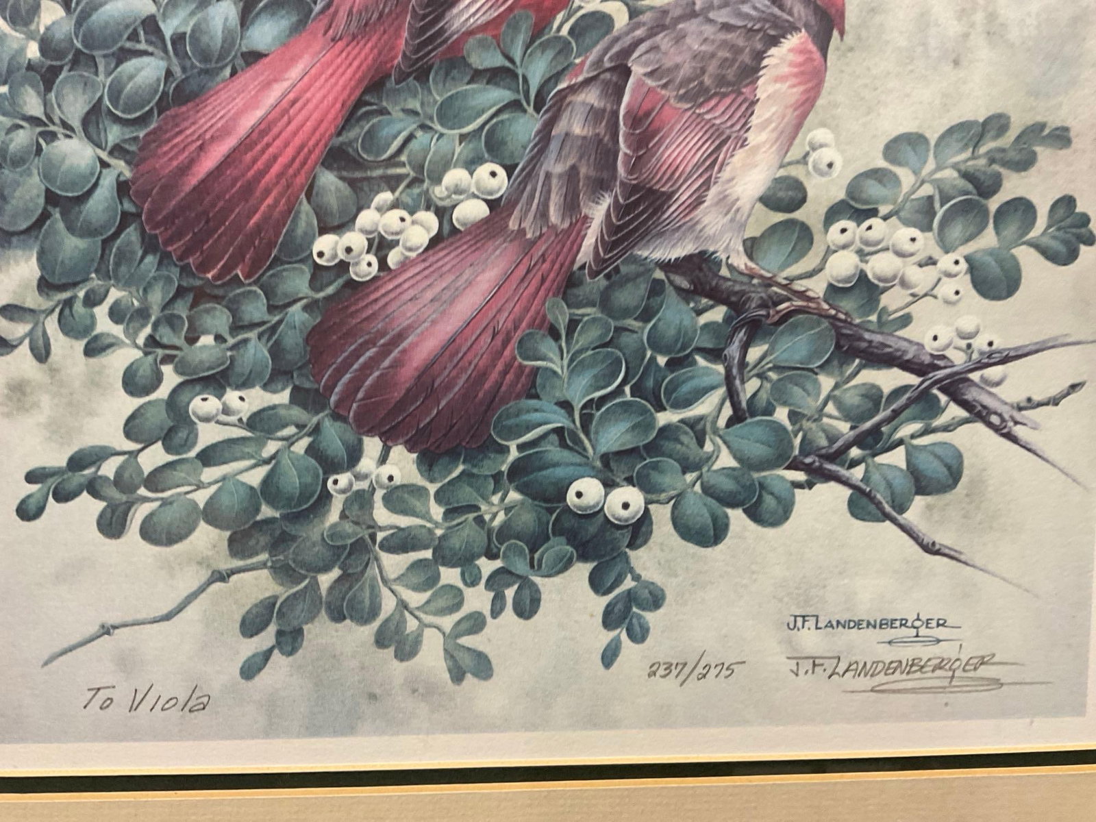 Framed Signed & #d 237/275 Litho by J.F.Landenberger, 23h x 20w x 3d inches, Cardinals - 4