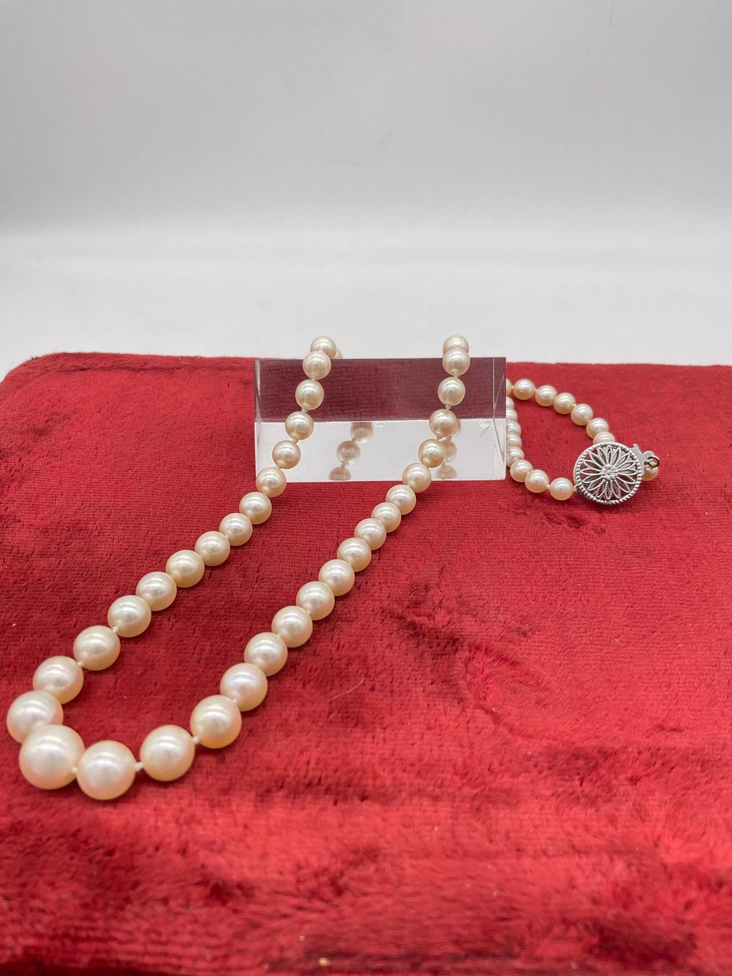 Vintage 18" graduated Double knotted Pearl Necklace w/ 14k white gold clasp, Possible Akoya Pearls: c-5830 Nice Luster with cream overtones 