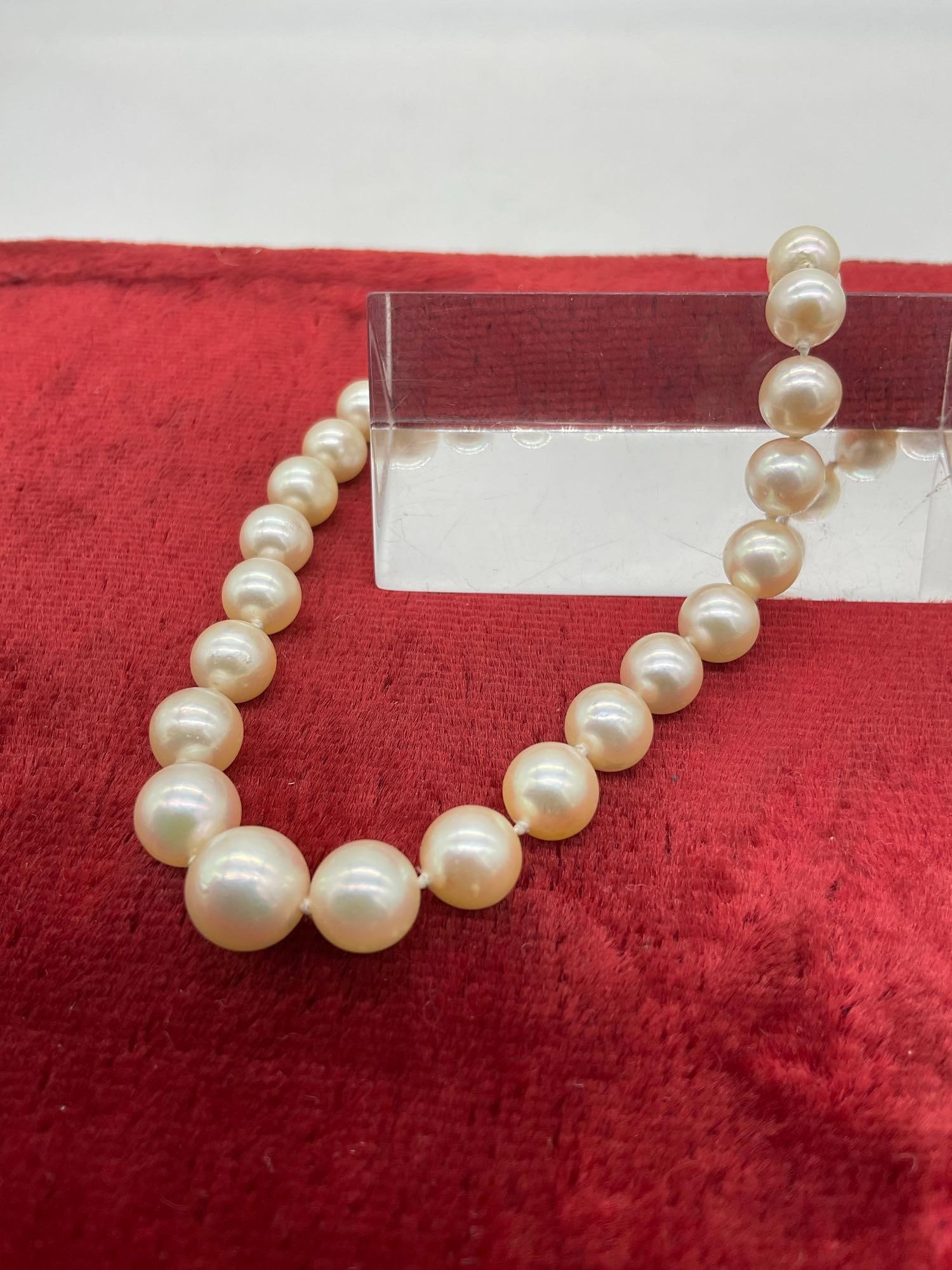 Vintage 18" graduated Double knotted Pearl Necklace w/ 14k white gold clasp, Possible Akoya Pearls - 3