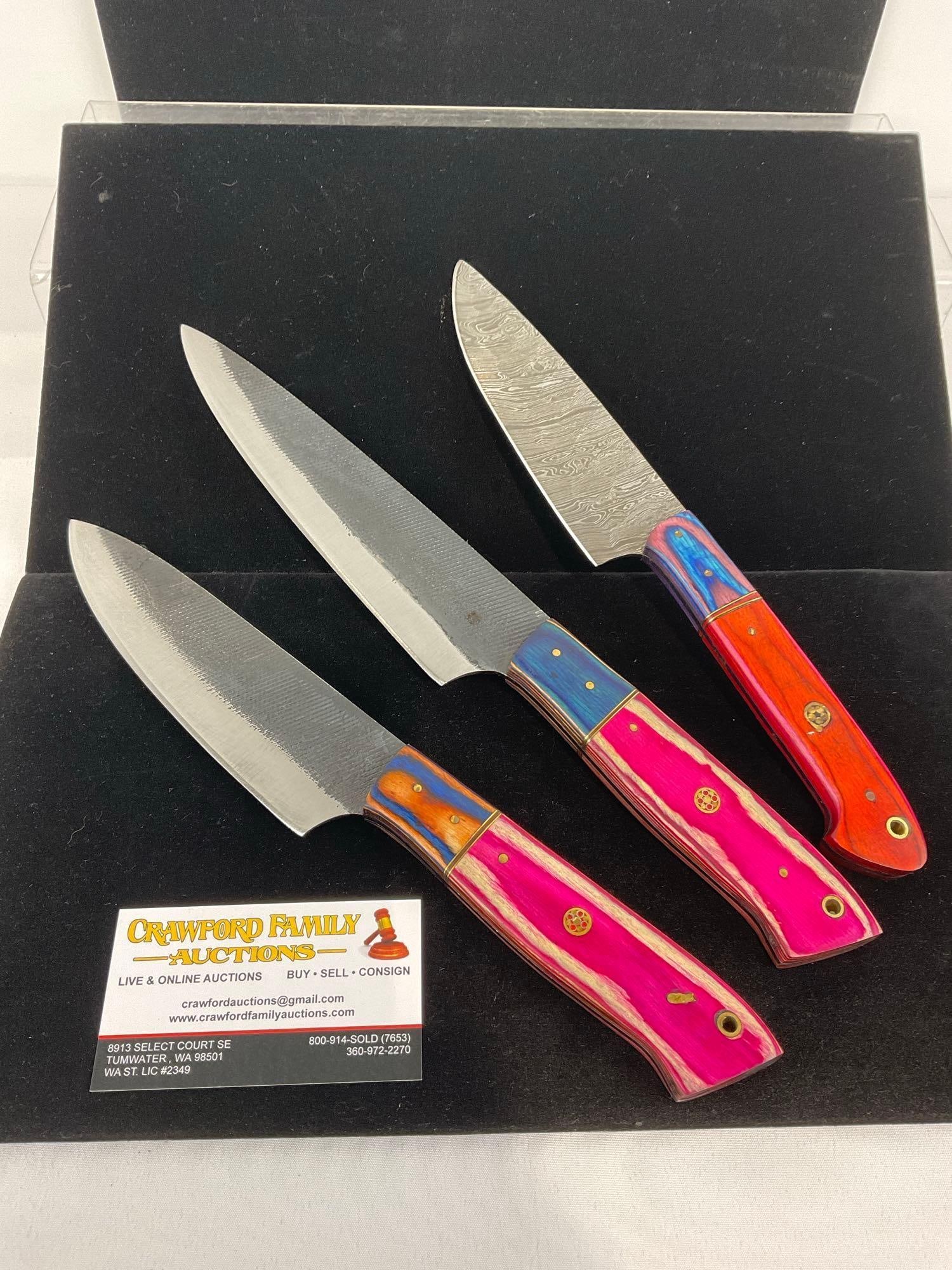3 Handmade Chefs Knives, w/tinted Wood Handles, 2 File Metal & 1 Damascus Style Blades: Appears to be in good shape. The piece measures approx 13h x 4w x 4d inches. See pics. E-3440