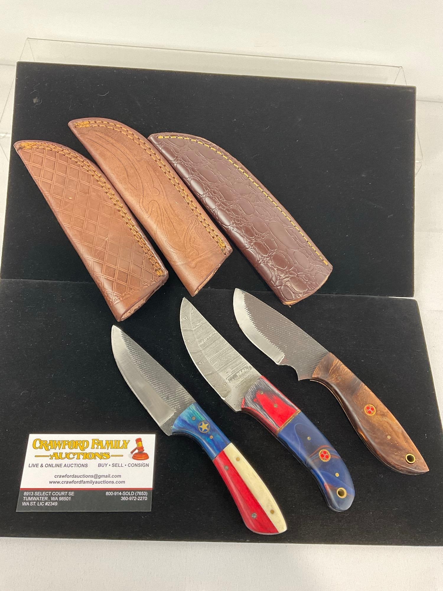 3 Handmade Knives w/Colorful Resin & Tinted Handles, & Leather Sheaths: Appears to be in good shape. The piece measures approx 11h x 3w x 4d inches. See pics. E-3440