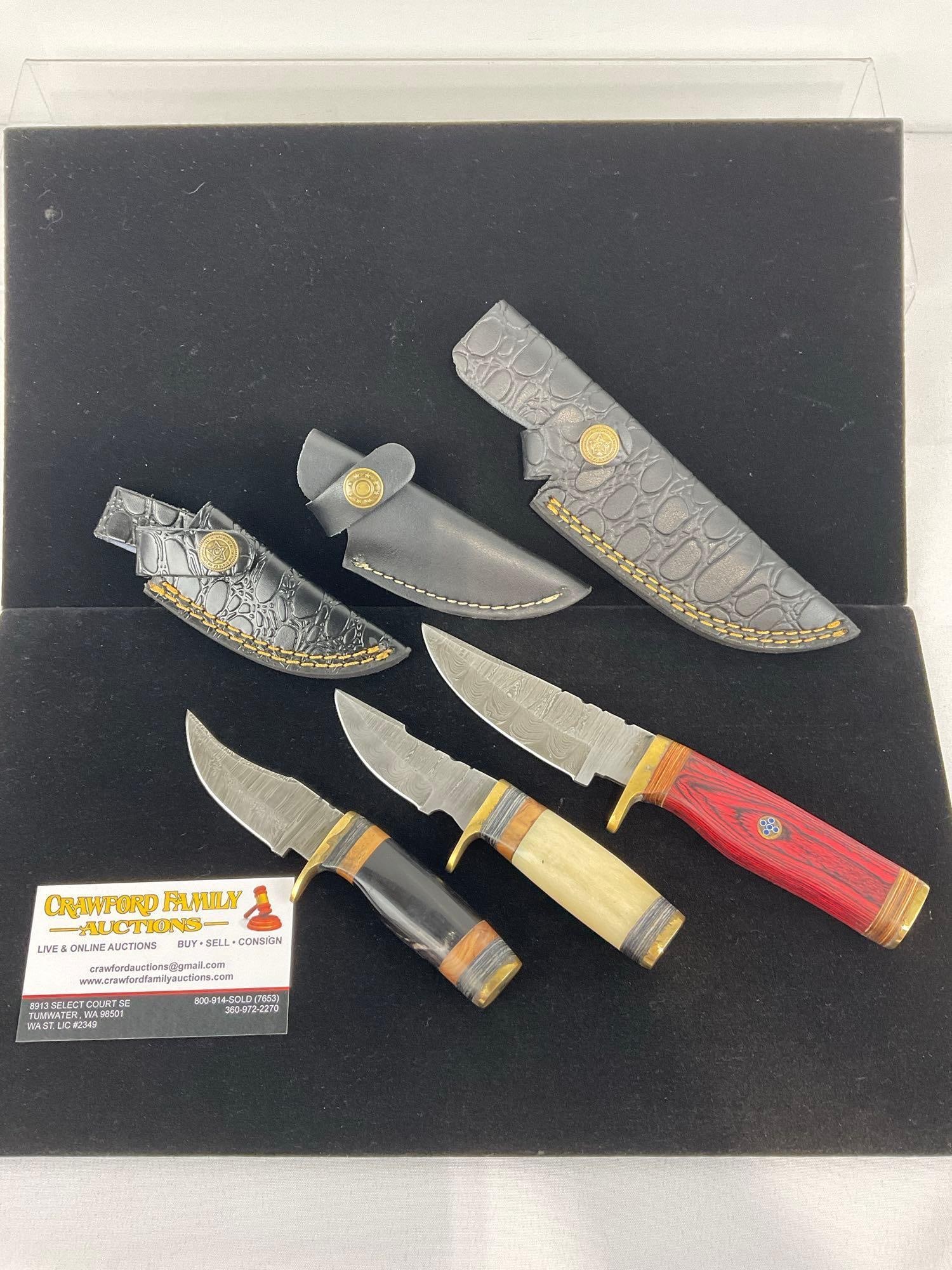 3 Handmade Knives w/Brass Bolsters, Custom Tinted Wood & Resin Handles & Black Leather Sheaths: Appears to be in good shape. The piece measures approx 11h x 3w x 4d inches. See pics. E-3440