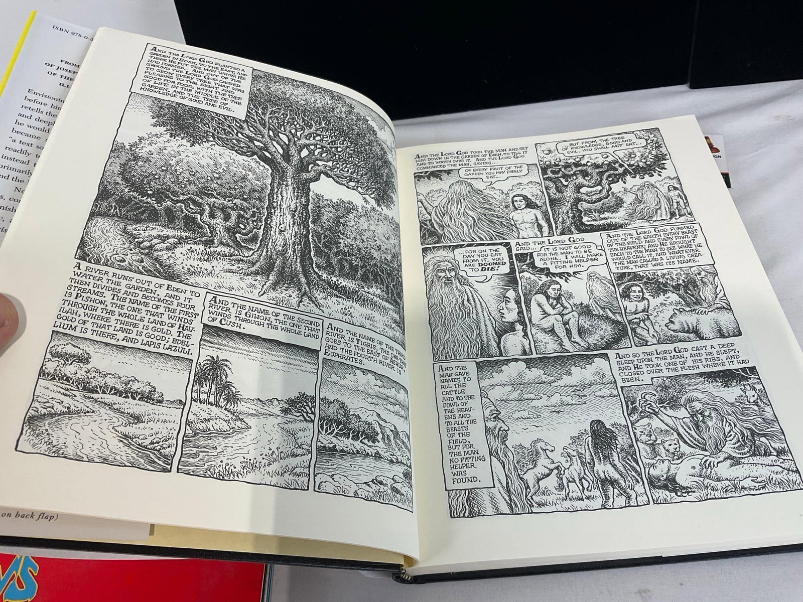 Pair of Art books, Views by Roger Dean & The Book of Genesis Illustrated by R. Crumb - 7