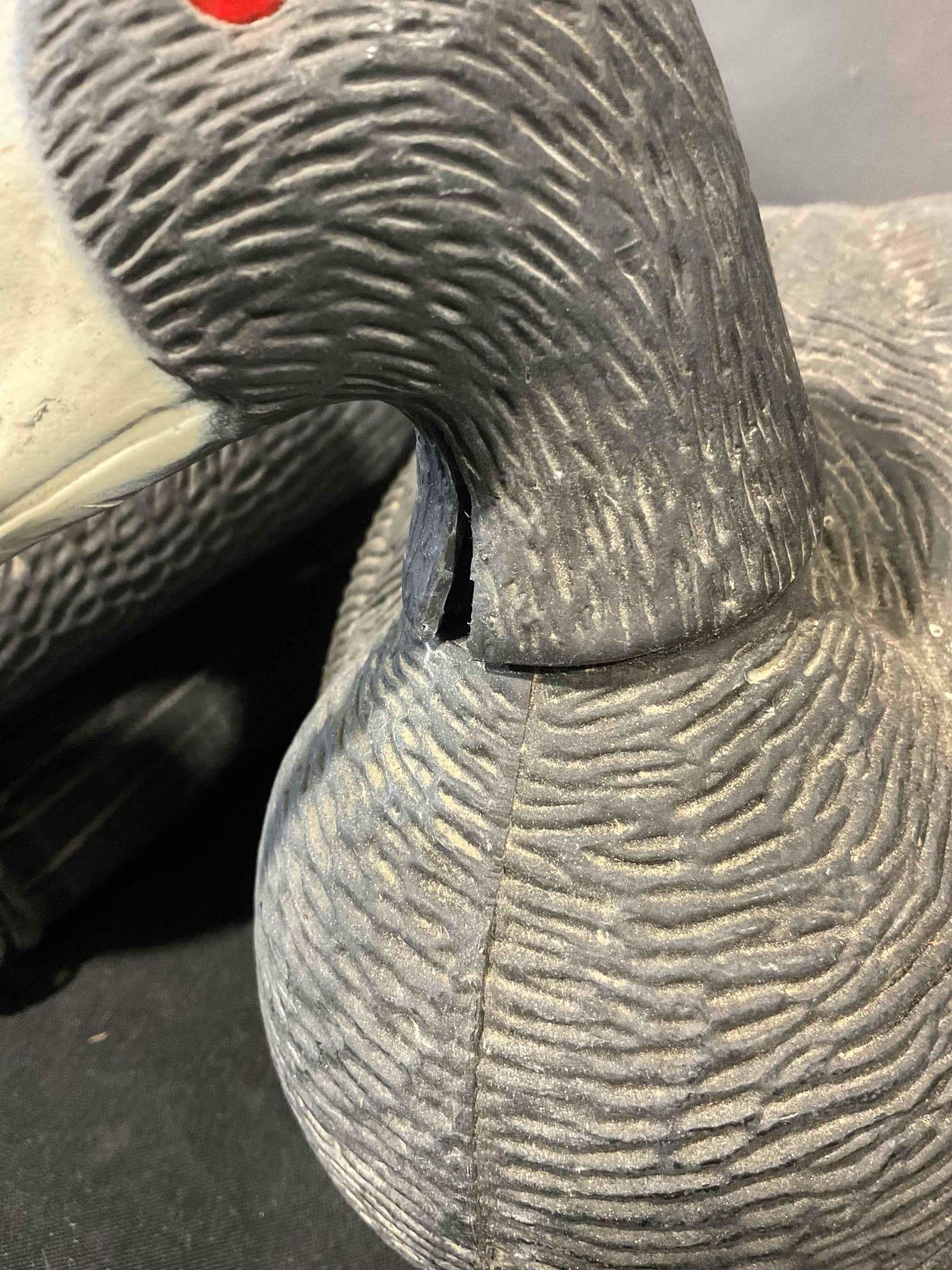 4 pcs G&H Decoys Plastic Coot Duck Decoys. Good Condition. See pics. - 3