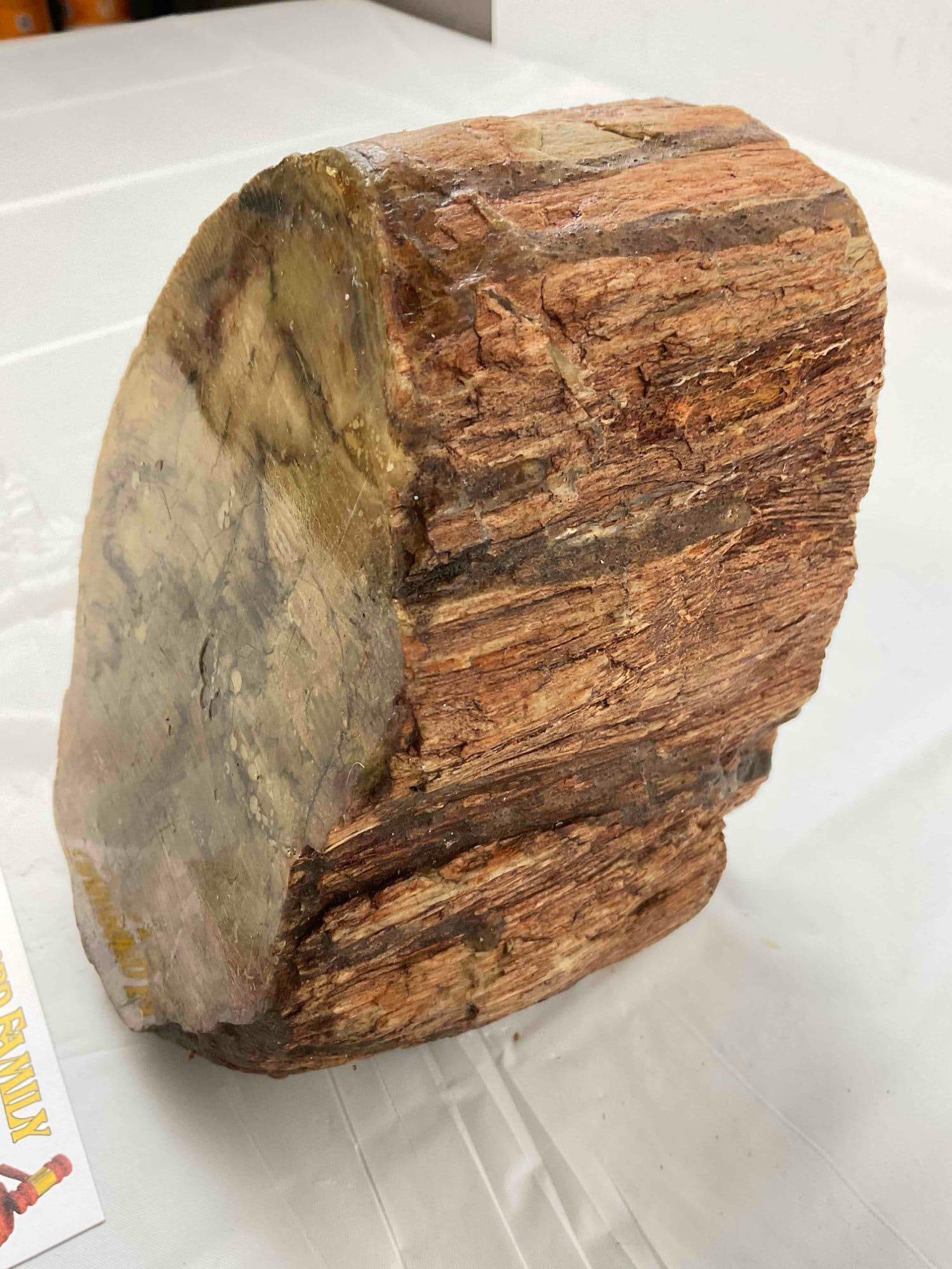 Interesting Piece of PNW Red & Brown Petrified Wood w/ Nice Striations & 2 Polished Faces. - 2