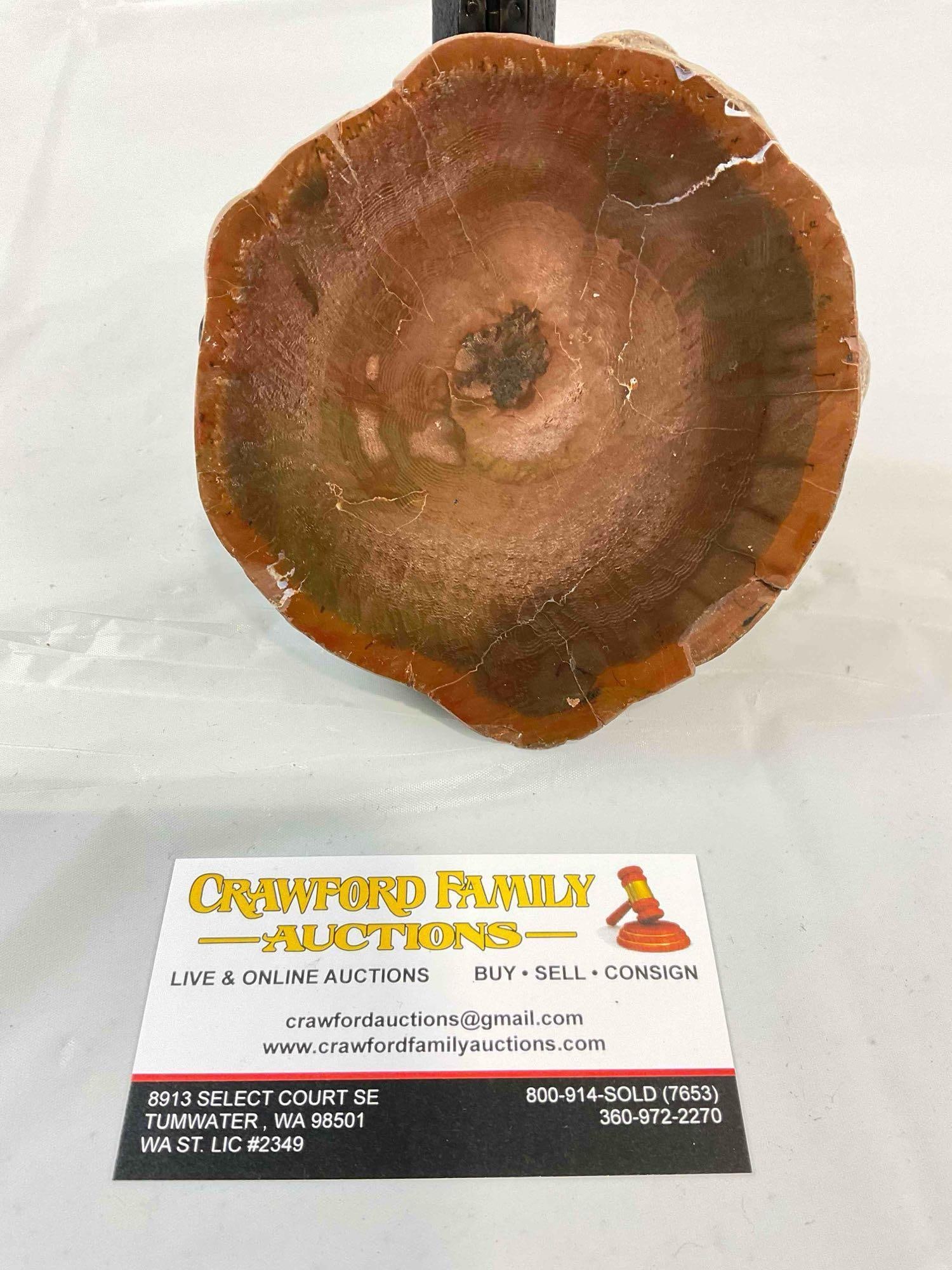 Beautiful Piece of PNW Red & Brown Petrified Wood w/ Polished Face & Visible Rings. See pics.: Beautiful Piece of PNW Red & Brown Petrified Wood w/ Polished Face & Visible Rings. Measures 5" x 5" x 3" DM-6030 Appears to be in good condition. very likely from WA state, as it is the natio