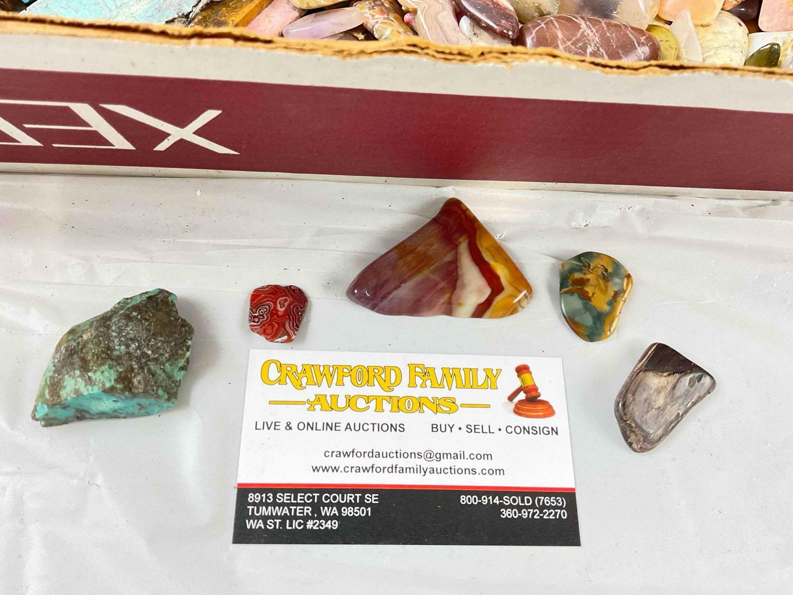 Uncounted Selection of Largely Polished Rocks & Stones, incl. Agates, Jaspers, Petrified Wood. - 2