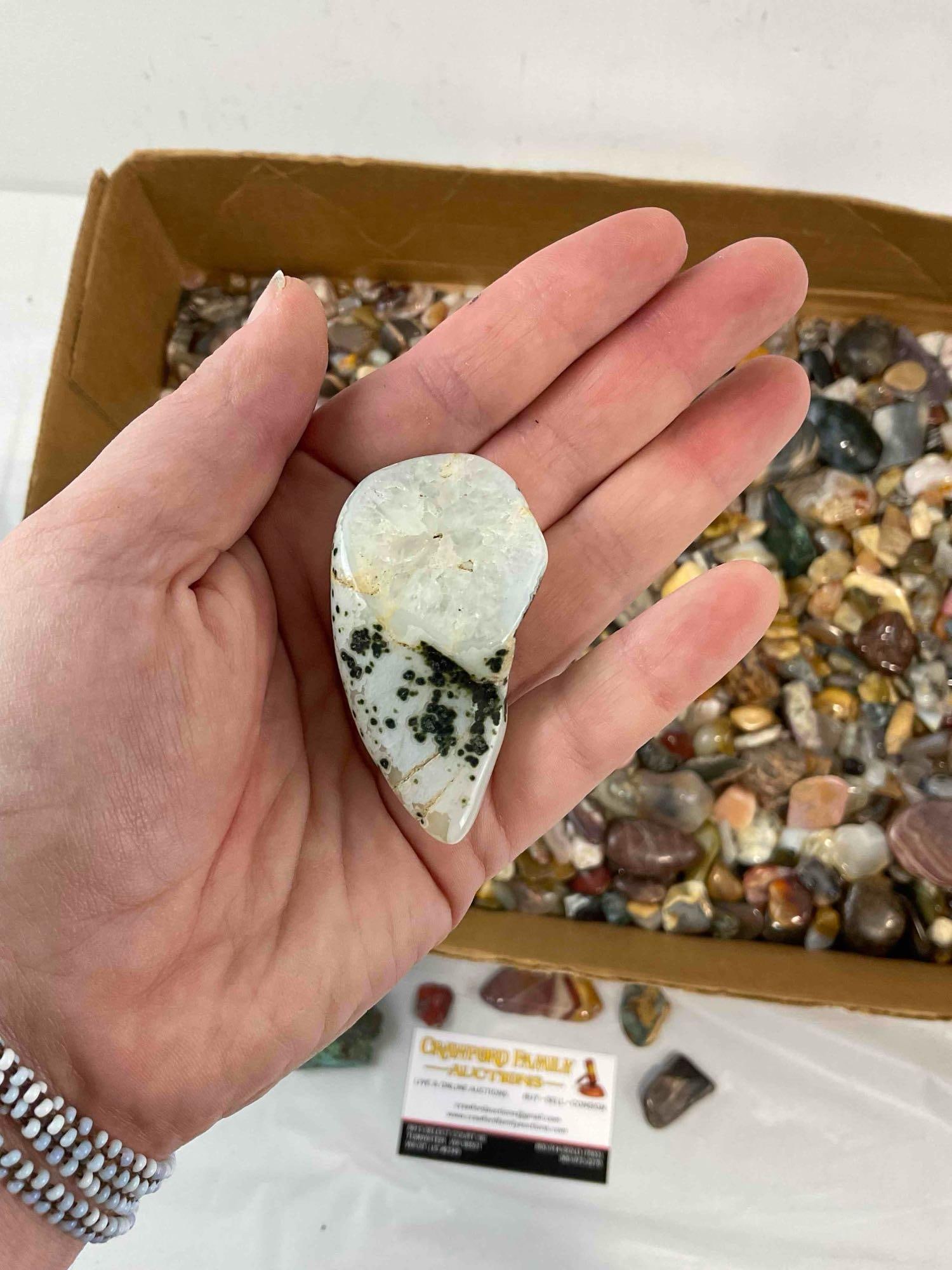 Uncounted Selection of Largely Polished Rocks & Stones, incl. Agates, Jaspers, Petrified Wood. - 4