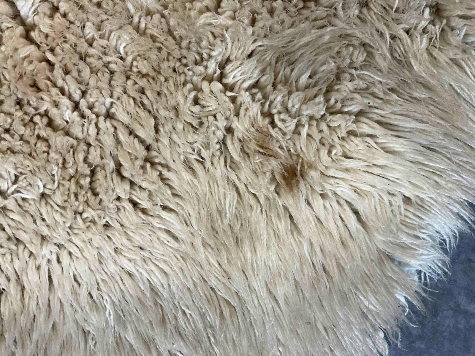 Natural Sheepskin Floor Rug w/ Wool Backing. Fair Condition. Measures 72" x 56" See pics. - 5